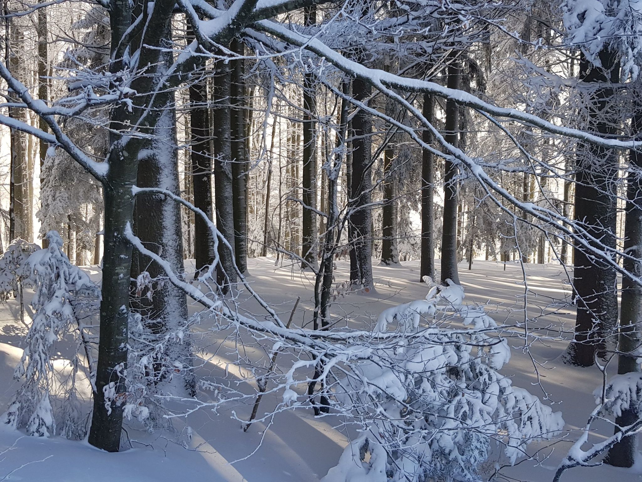 Charmante Wohnung in Langfurth mit Kleinem Balkon-Image-tags.info