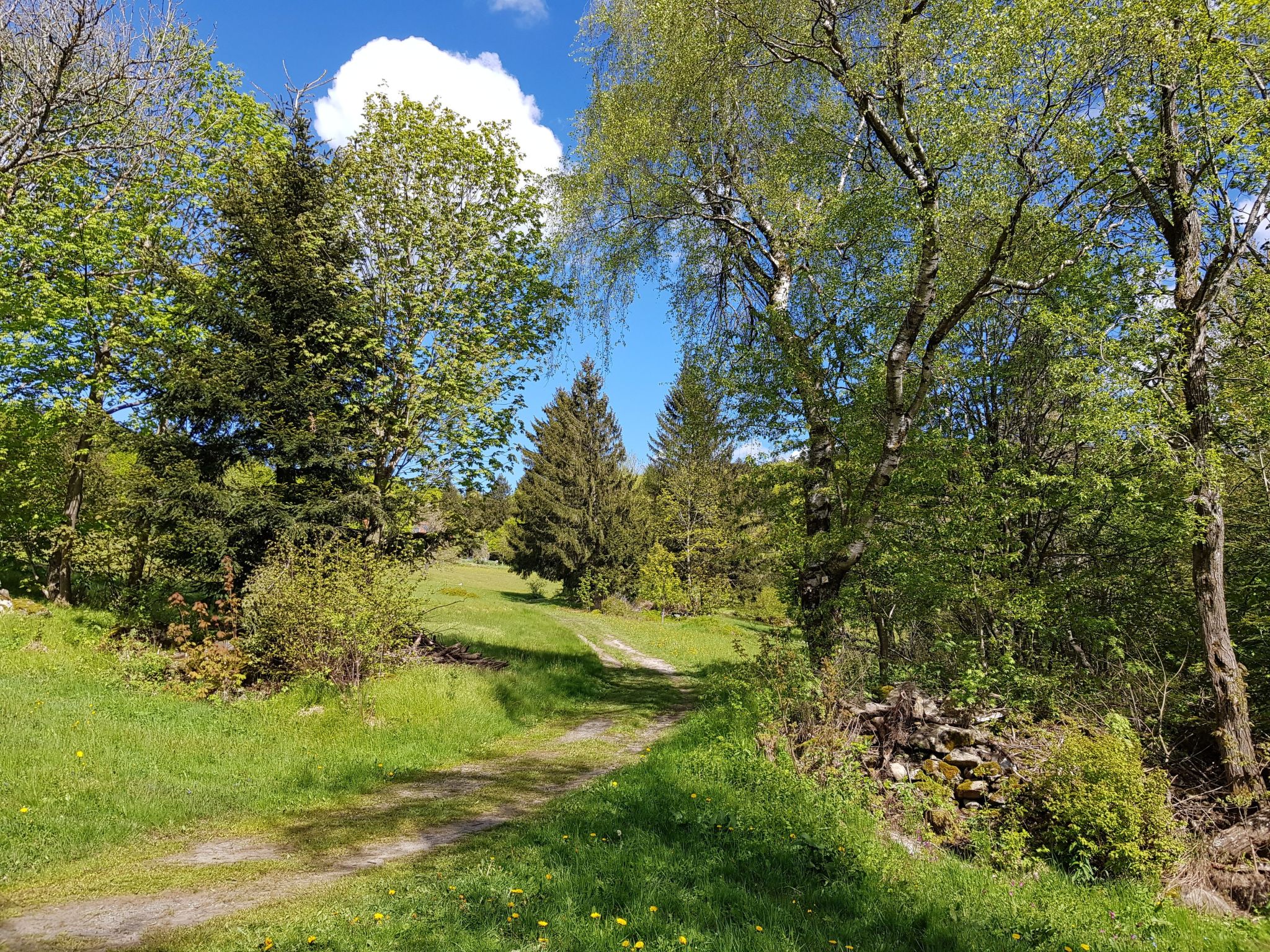Charmante Wohnung in Langfurth mit Kleinem Balkon-Image-tags.info