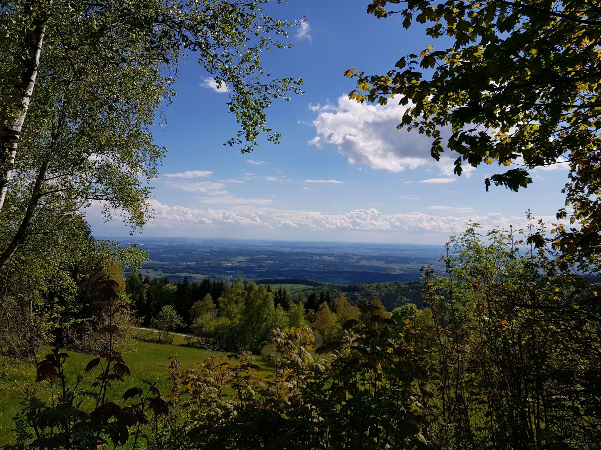 Charmante Wohnung in Langfurth mit Kleinem Balkon-Image-tags.info