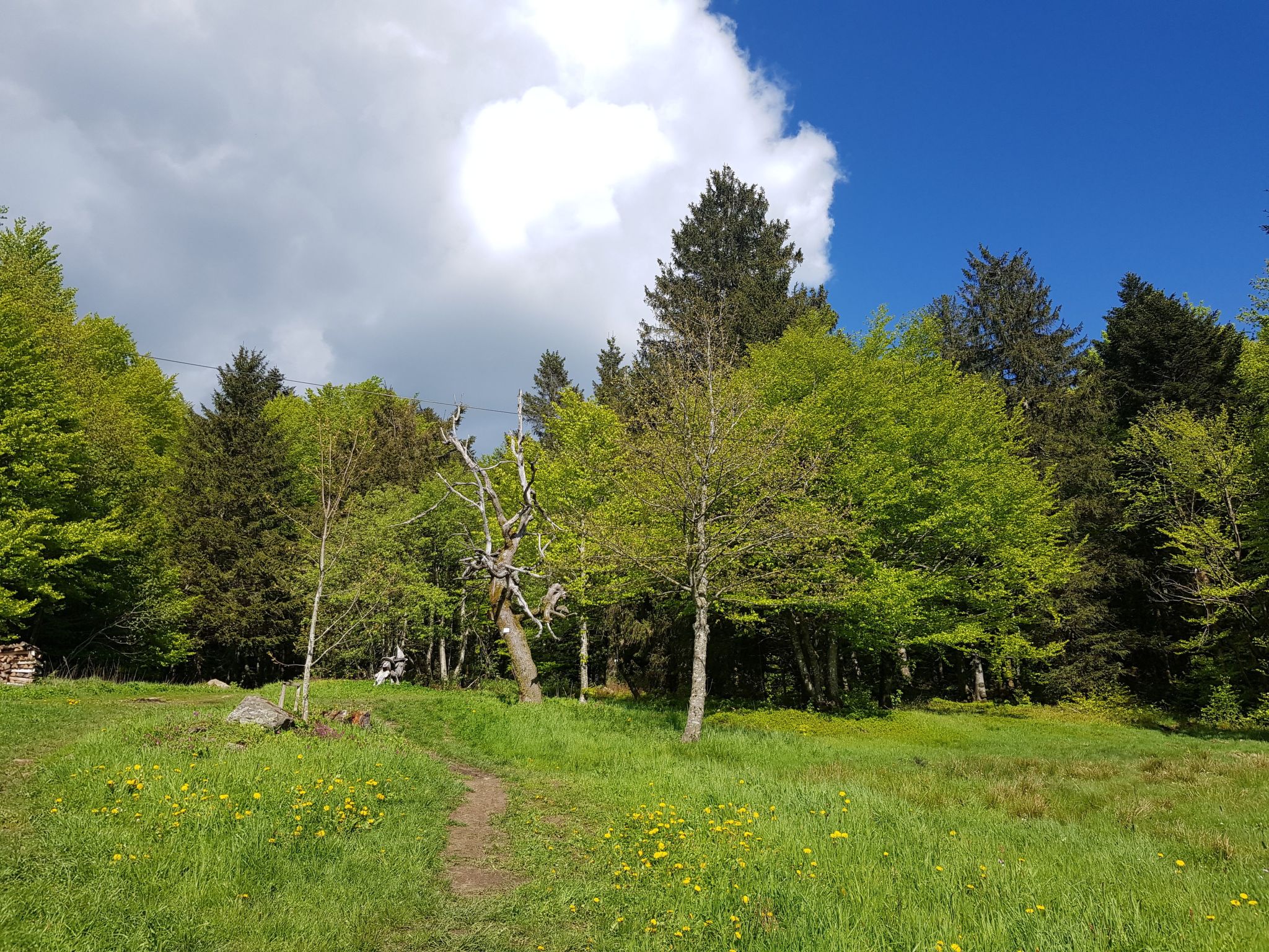 Charmante Wohnung in Langfurth mit Kleinem Balkon-Image-tags.info