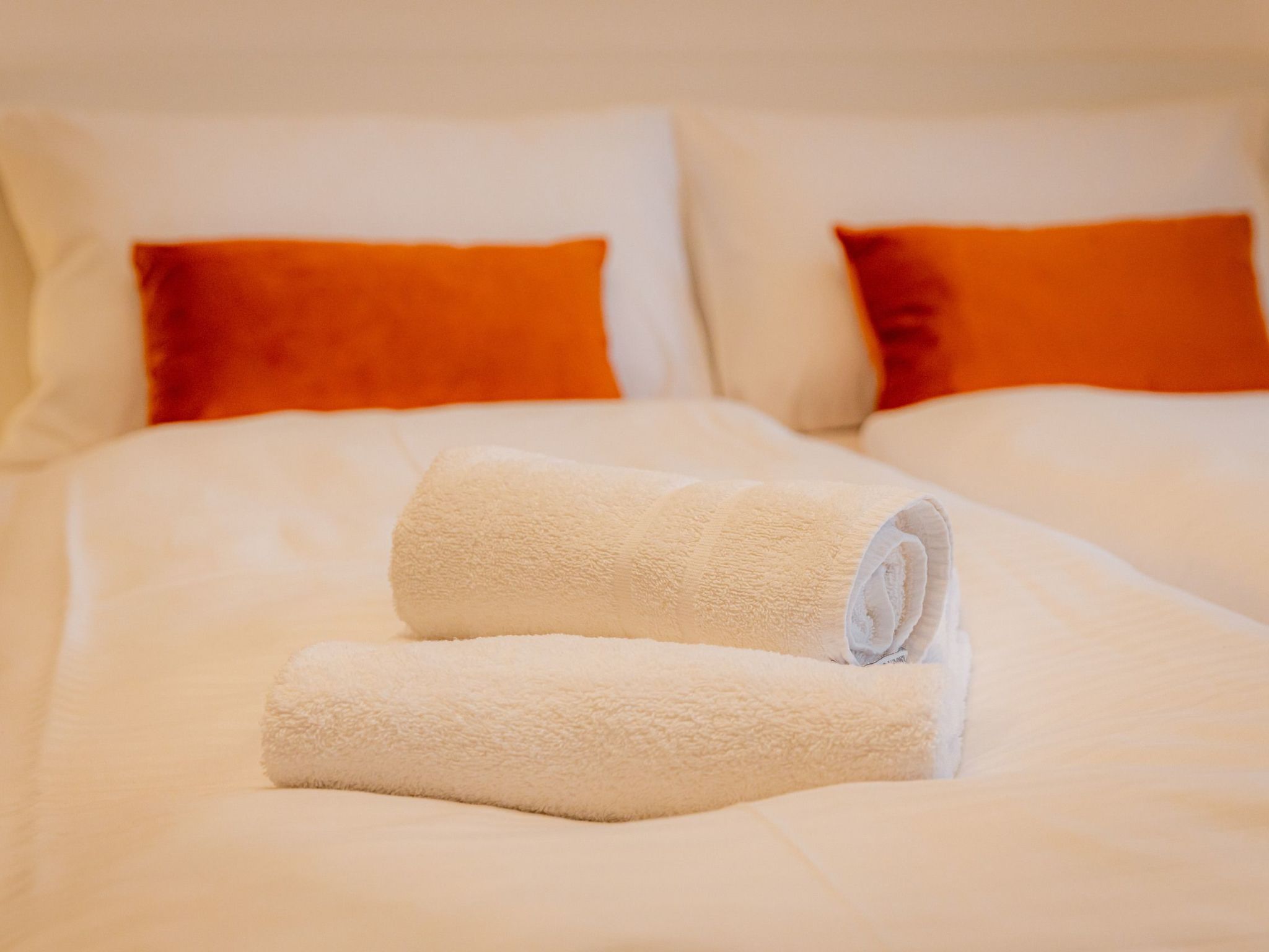 Come4Stay Passau - Spitalhof - Modern - Wlan - Küche - Parkplatz - SmartTV mit-Image-tags.info