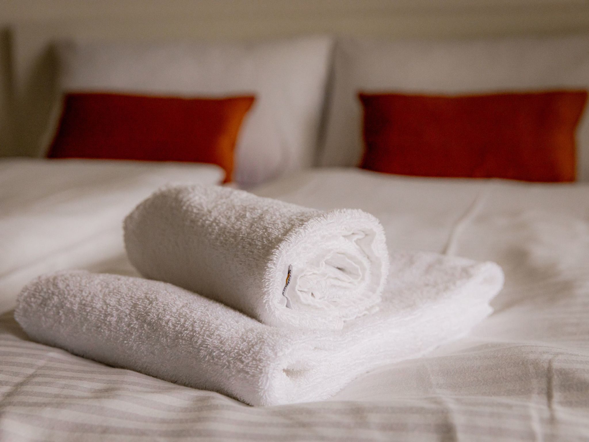 Come4Stay Passau - Spitalhof - Modern - Wlan - Küche - Parkplatz - SmartTV mit-Image-tags.info