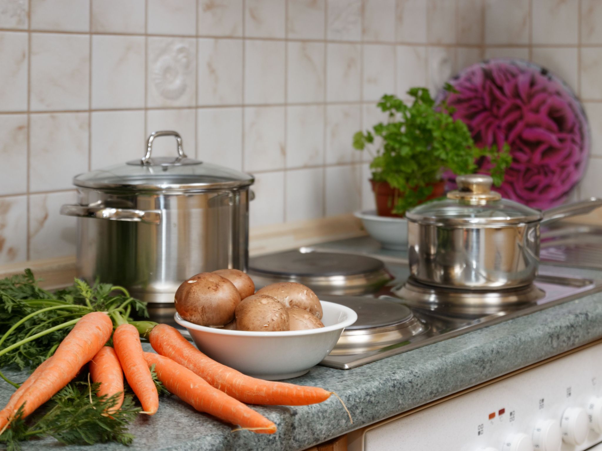 Studio Predigtstuhl-Image-tags.info