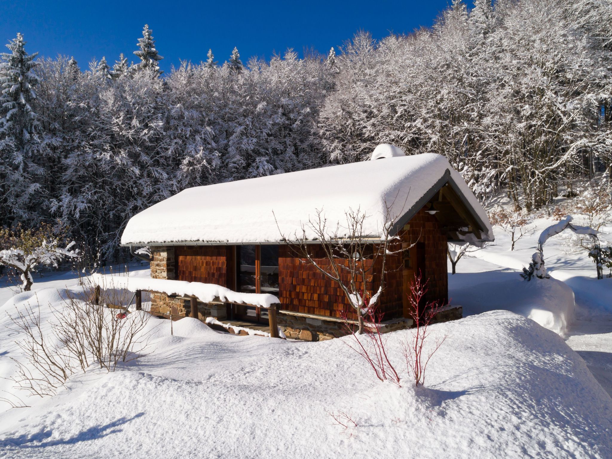 Studio Predigtstuhl-Image-tags.info
