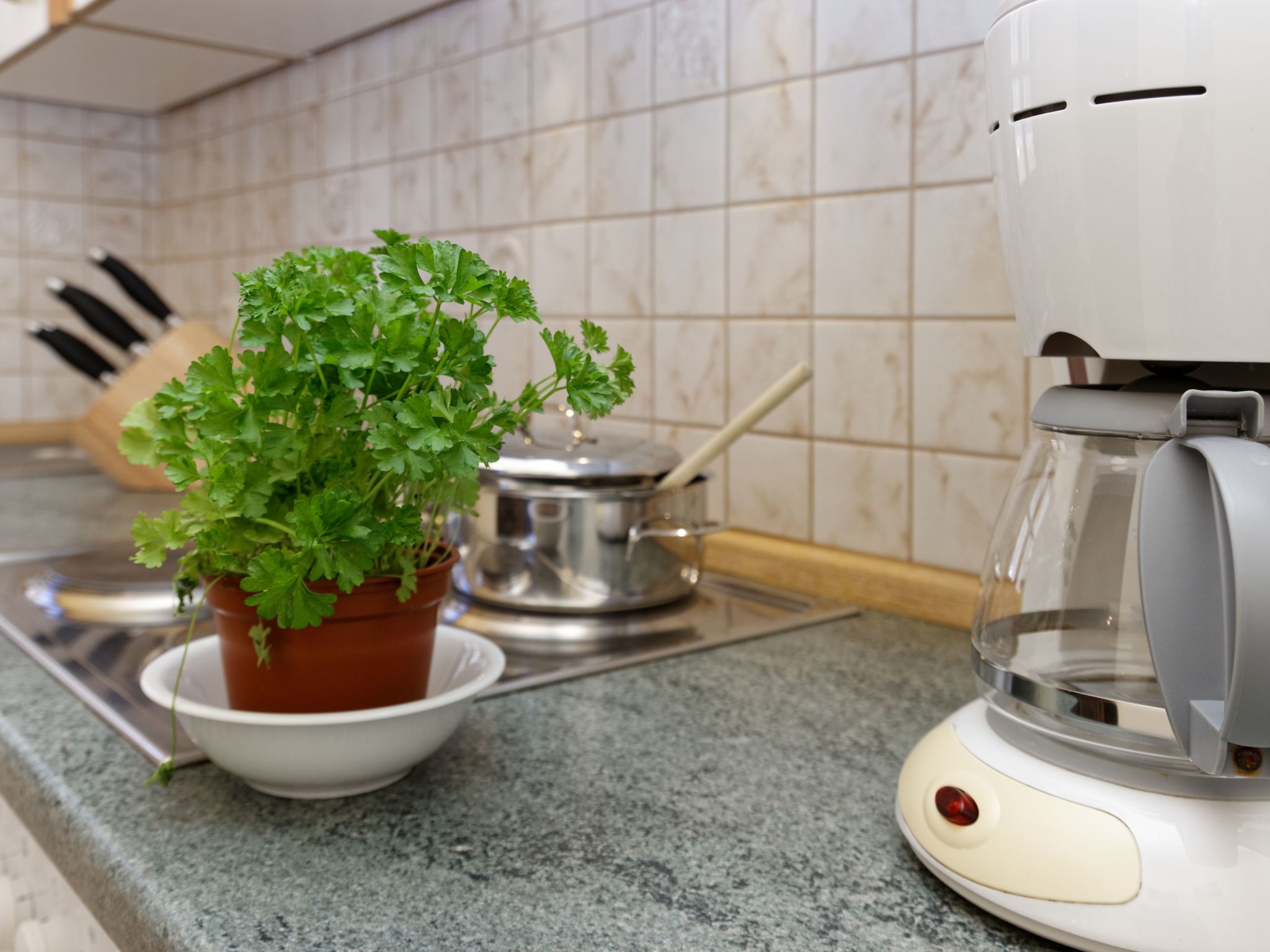 Wohnung Rachel-Image-tags.info