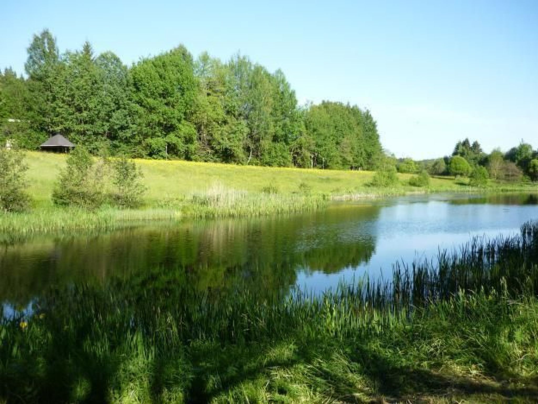 Moderne Ferienwohnung mit Gartennutzung - Buiten