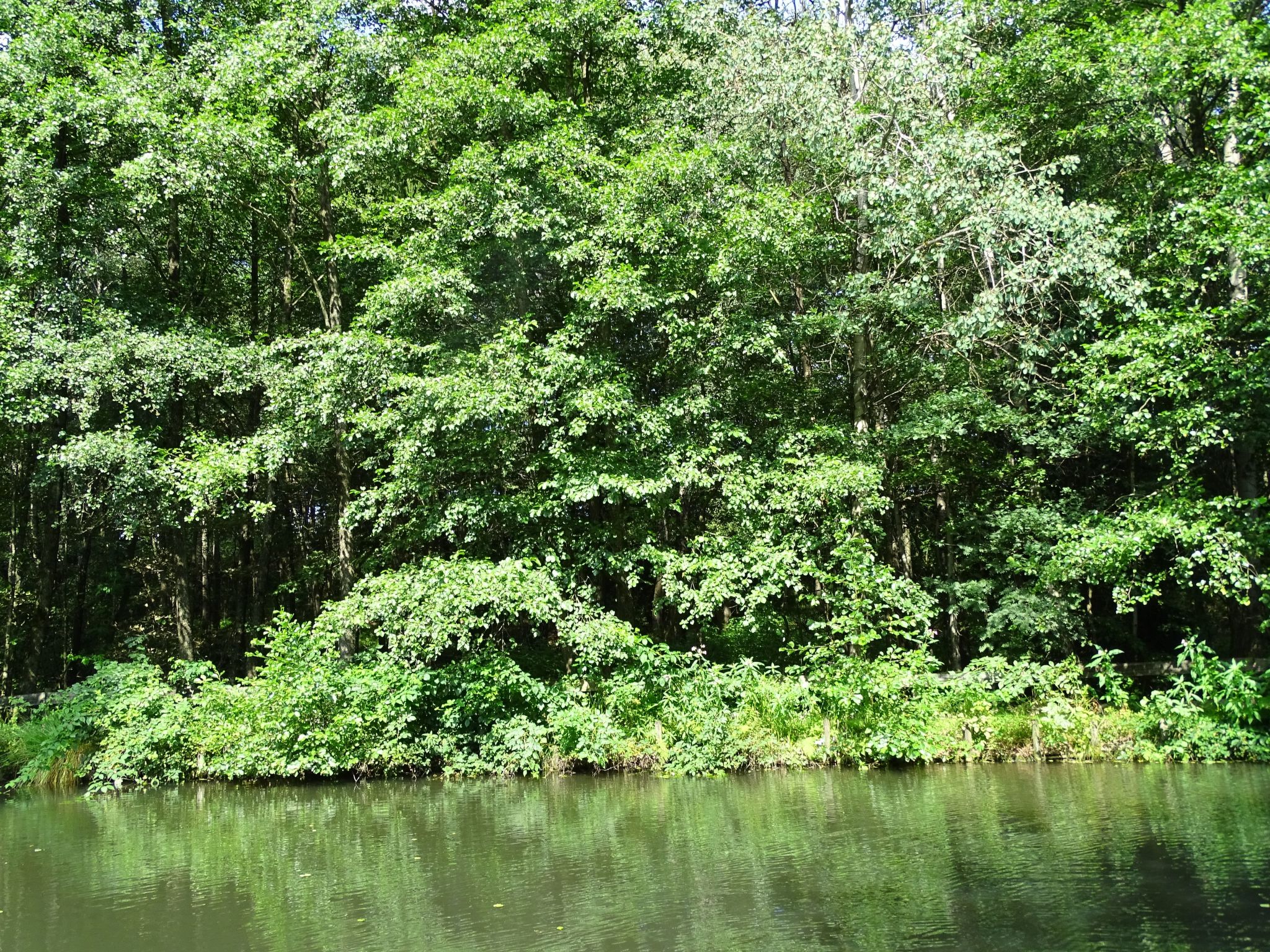 Haus Victoria-Dedans