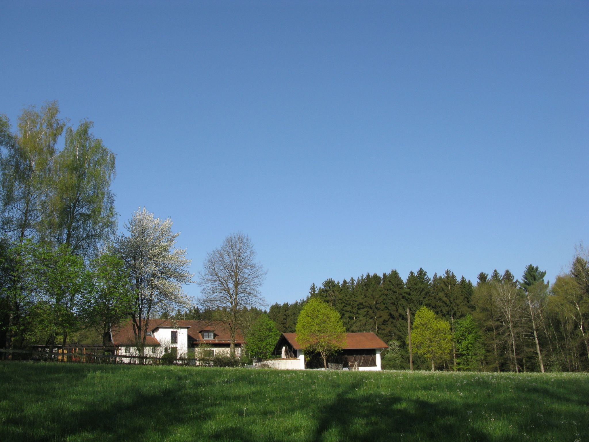 Haus Victoria-Dedans