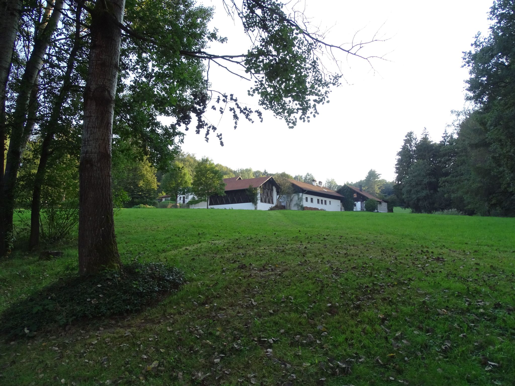 Haus Victoria-Dedans