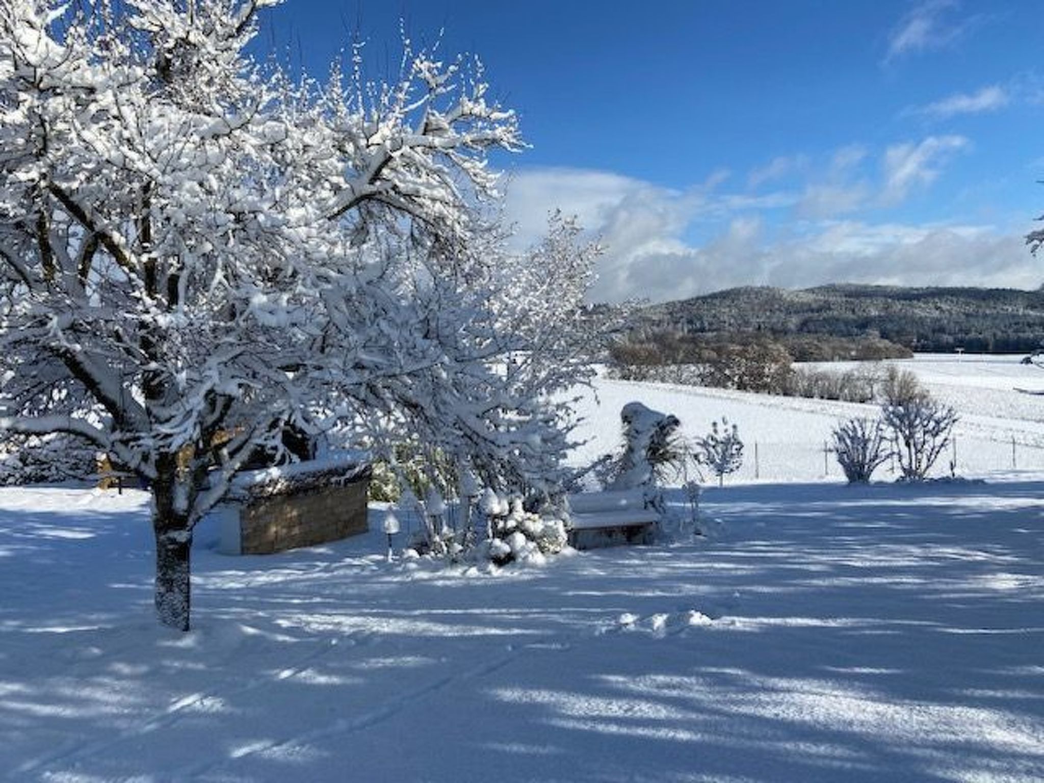Urlaub in der Natur!-Dedans