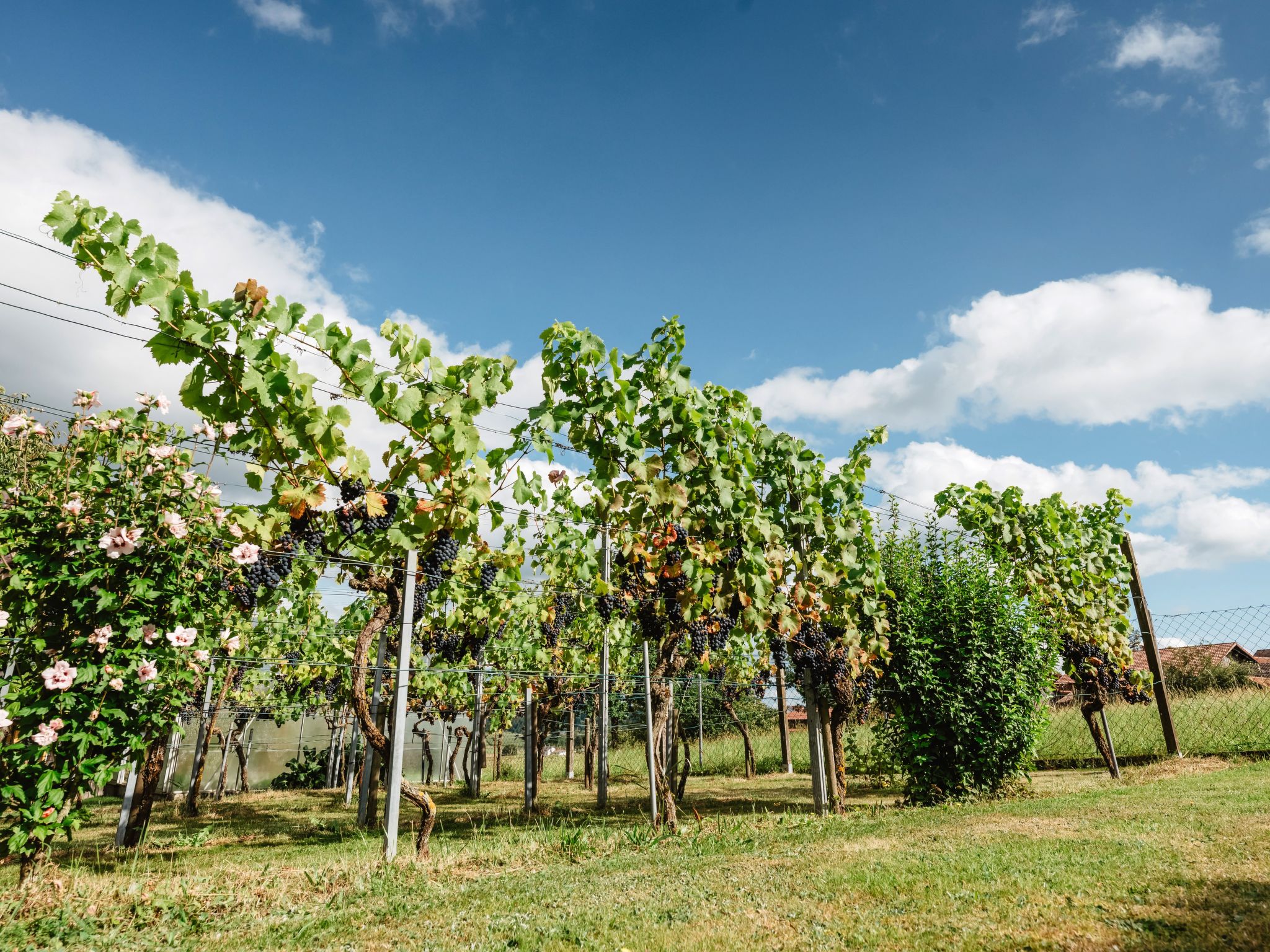 Urlaub in der Natur!-Dedans