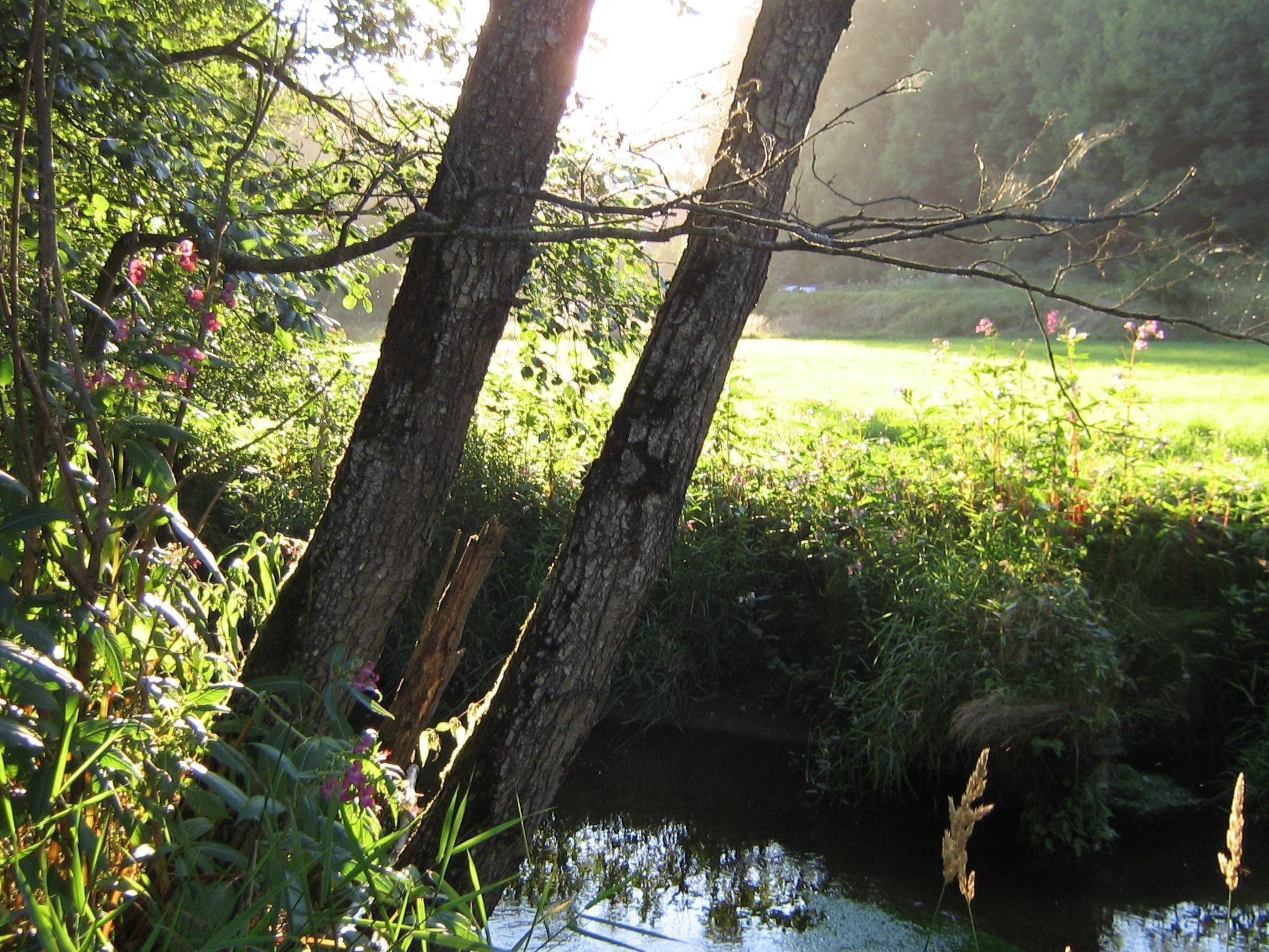 Urlaub in der Natur!-Dedans