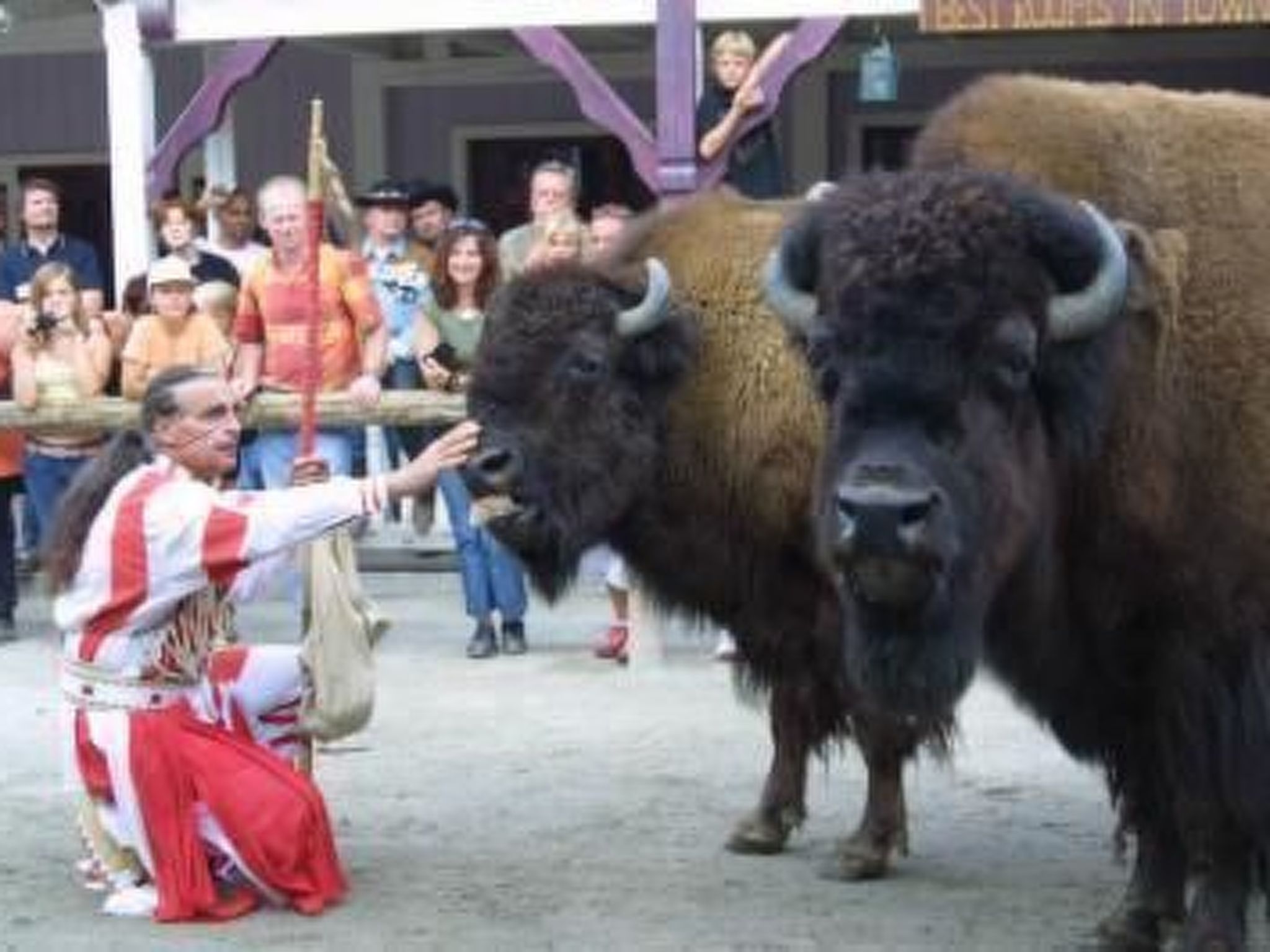 Urlaub in der Natur!-Dedans