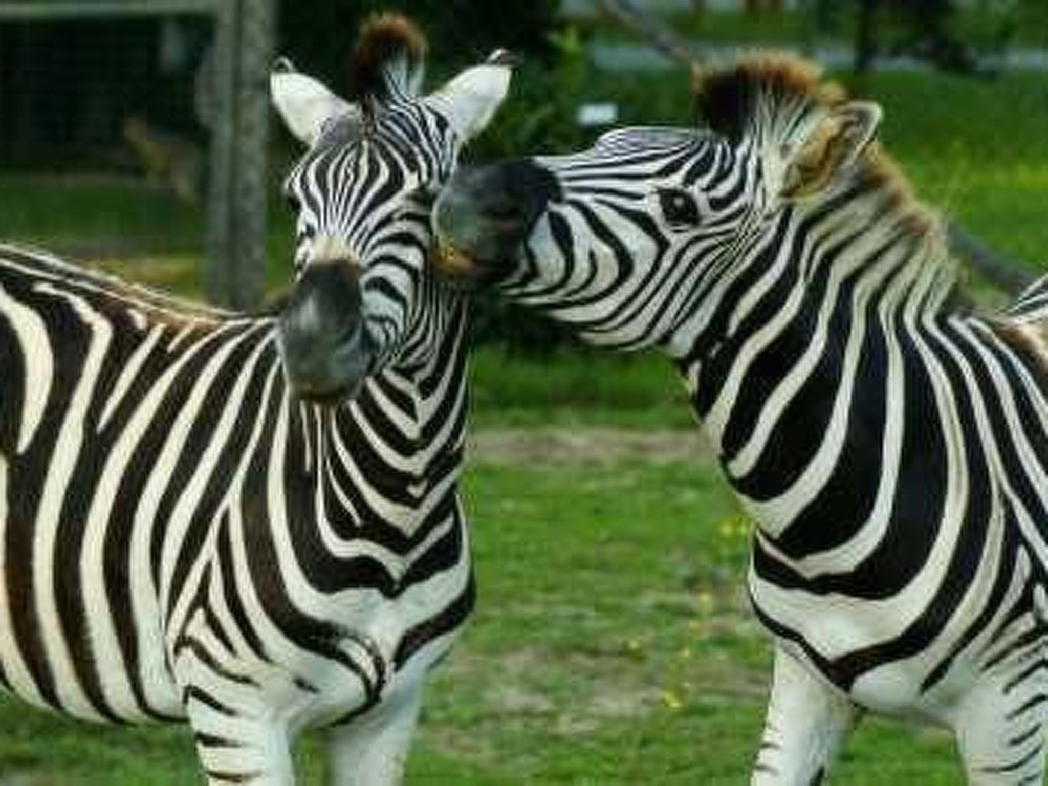 Urlaub in der Natur!-Dedans