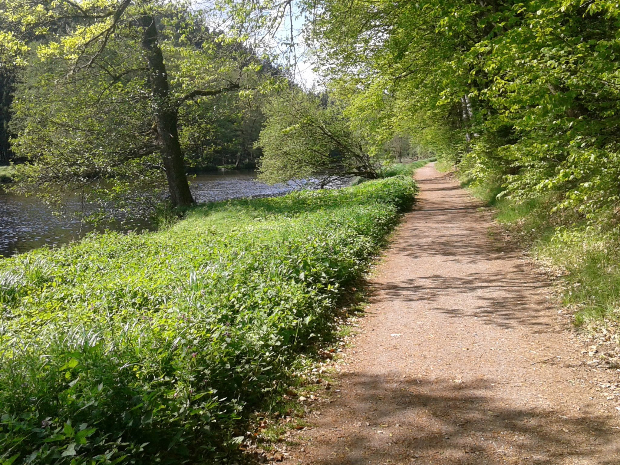 Urlaub in der Natur!-Dedans