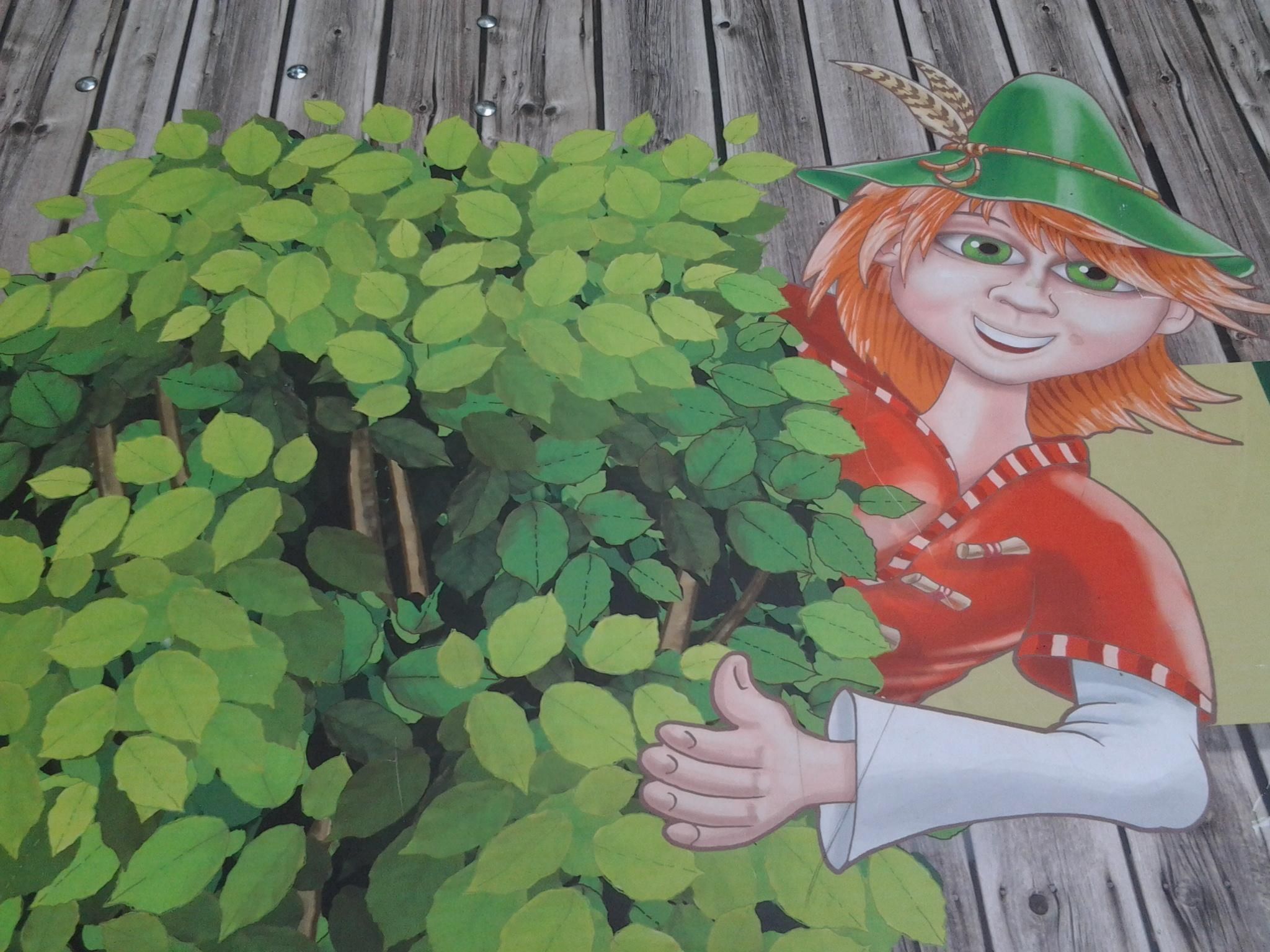 Urlaub in der Natur!-Dedans