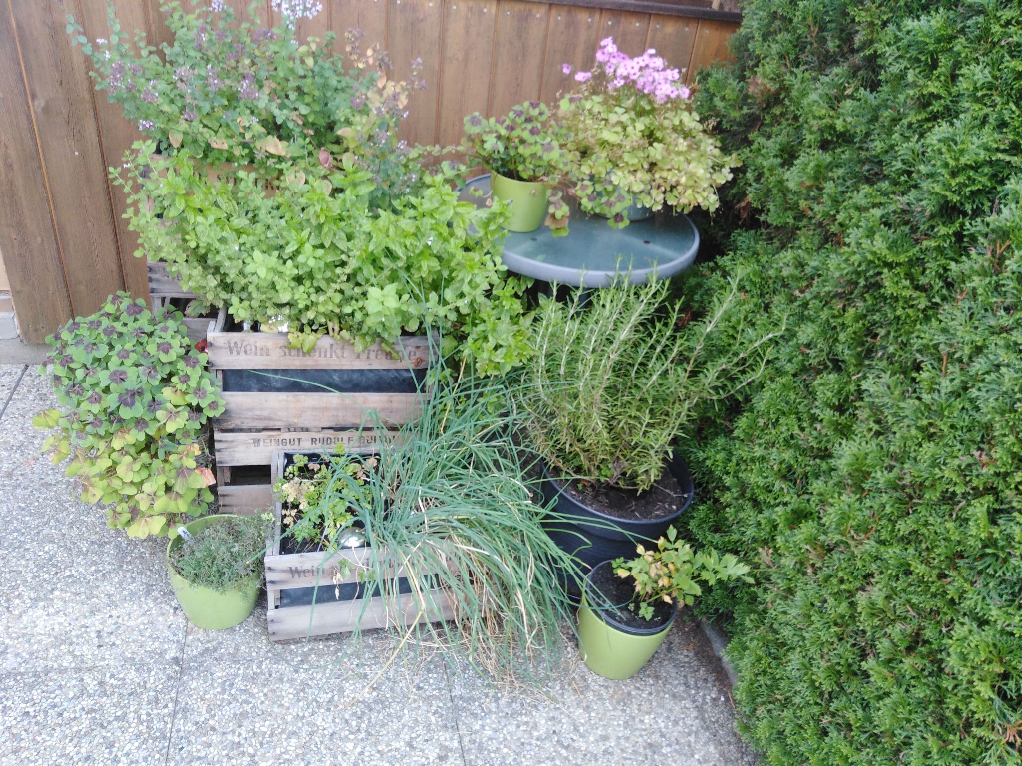 Ferienhäuschen 44 qm-Dedans