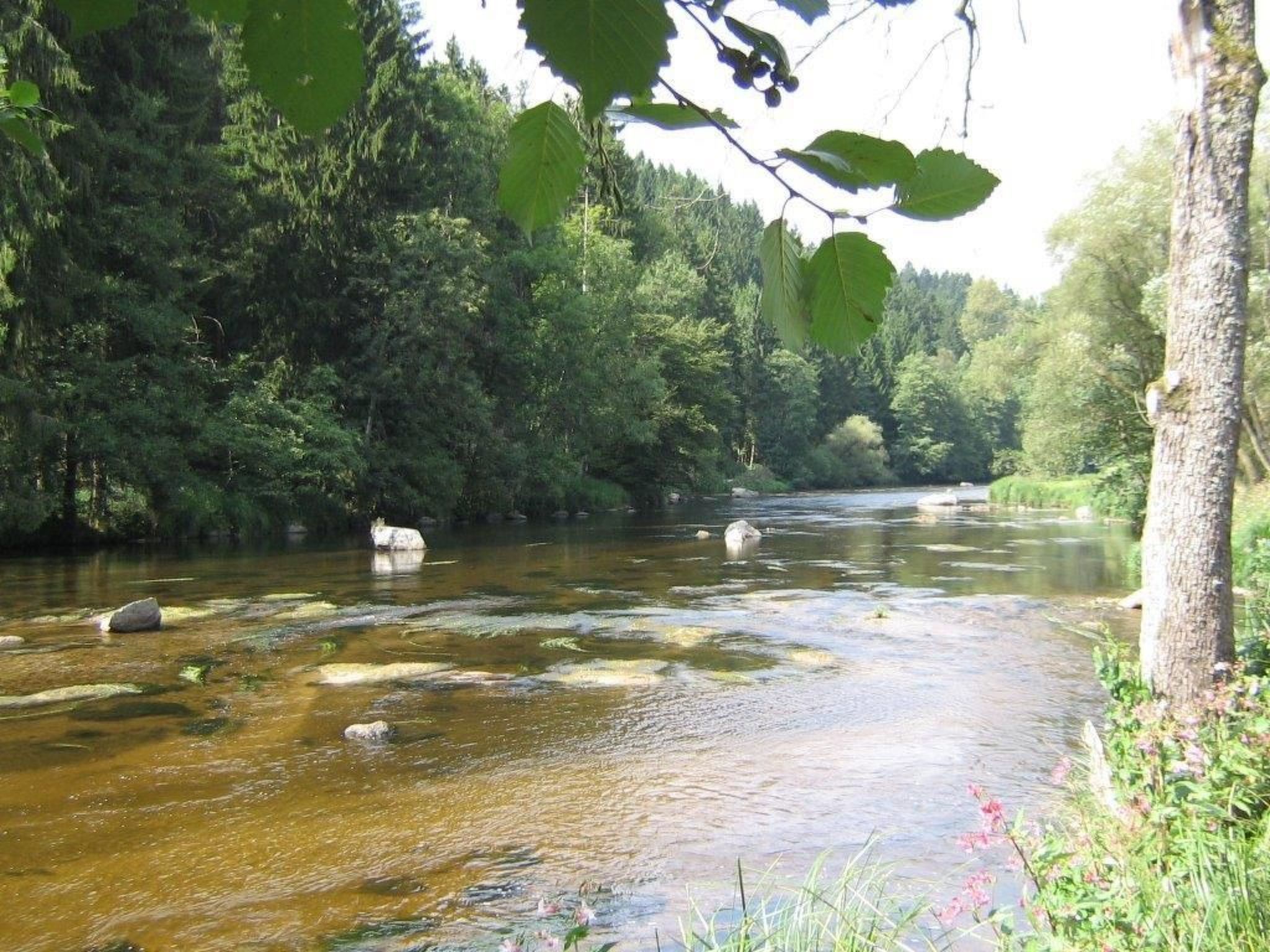 Ferienhäuschen 44 qm-Dedans