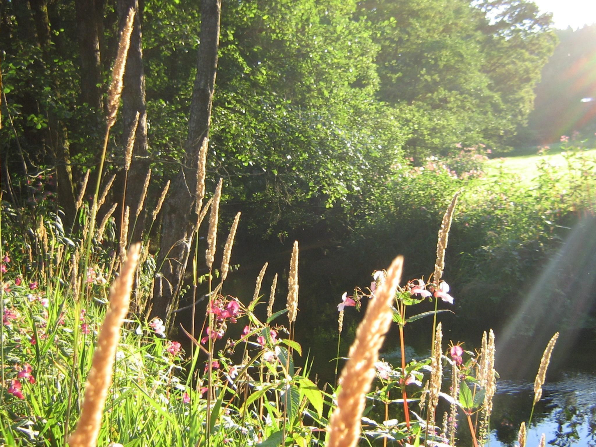 Ferienhäuschen 44 qm-Dedans