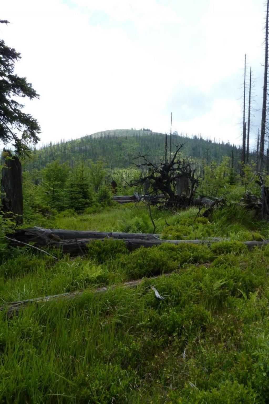 Landhaus Wildfeuer-Dedans