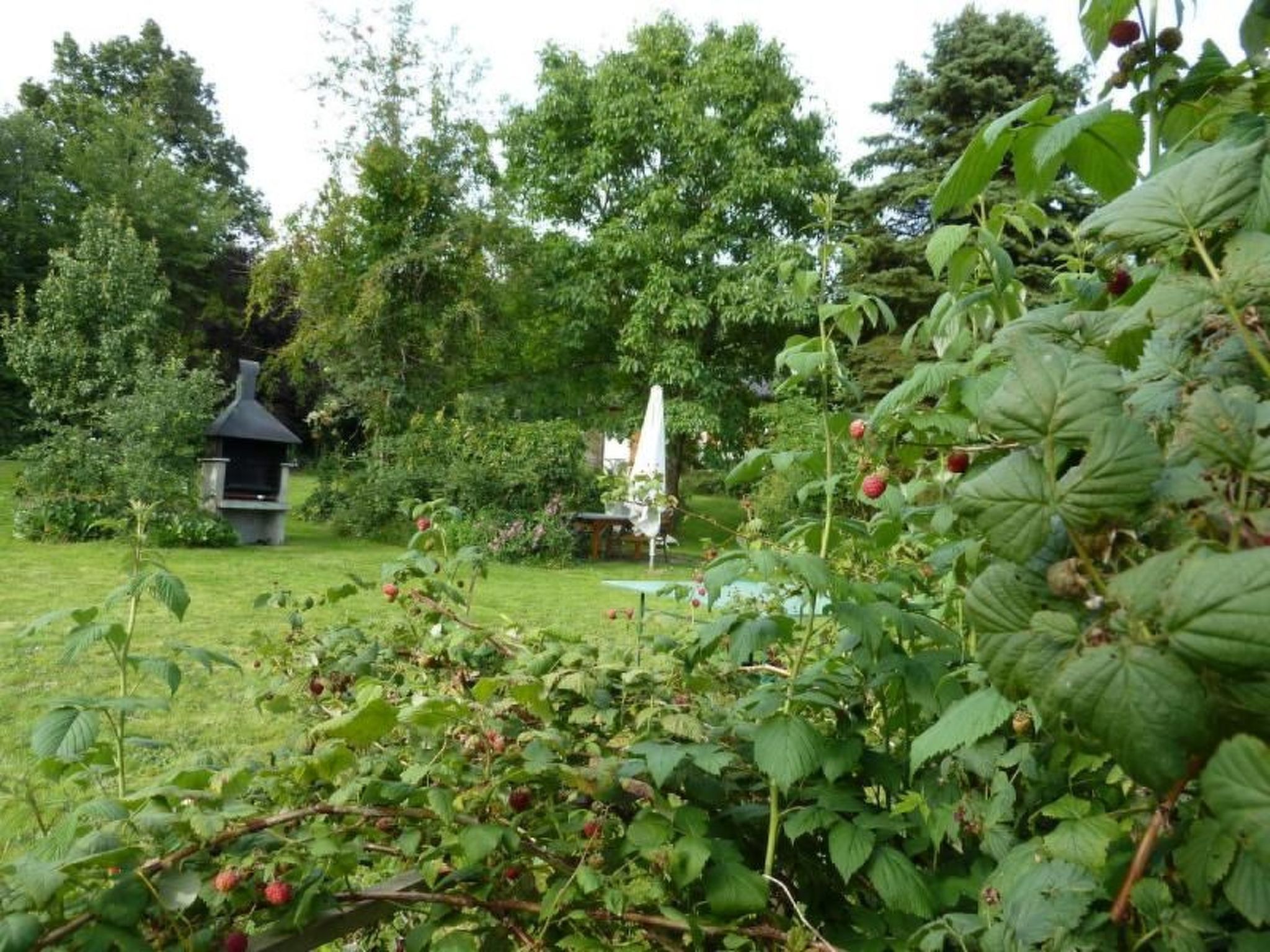 Landhaus Wildfeuer-Dedans
