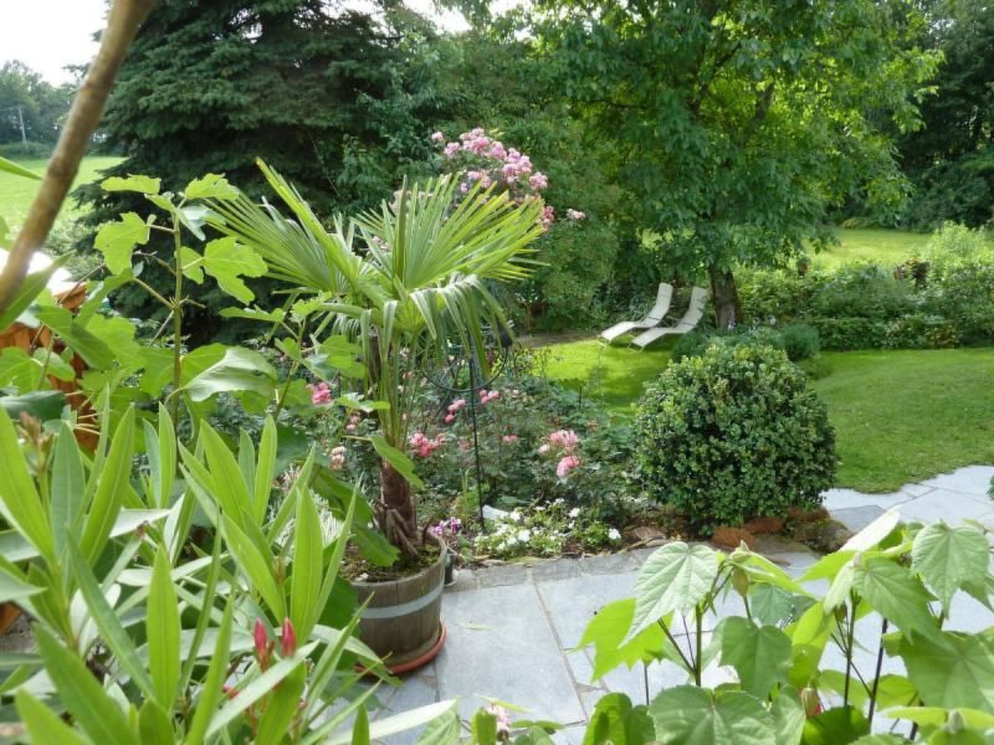 Landhaus Wildfeuer-Dedans