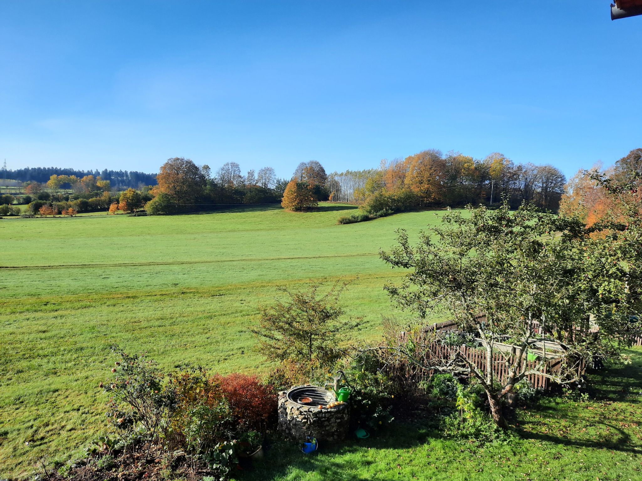 Landhaus Wildfeuer-Dedans