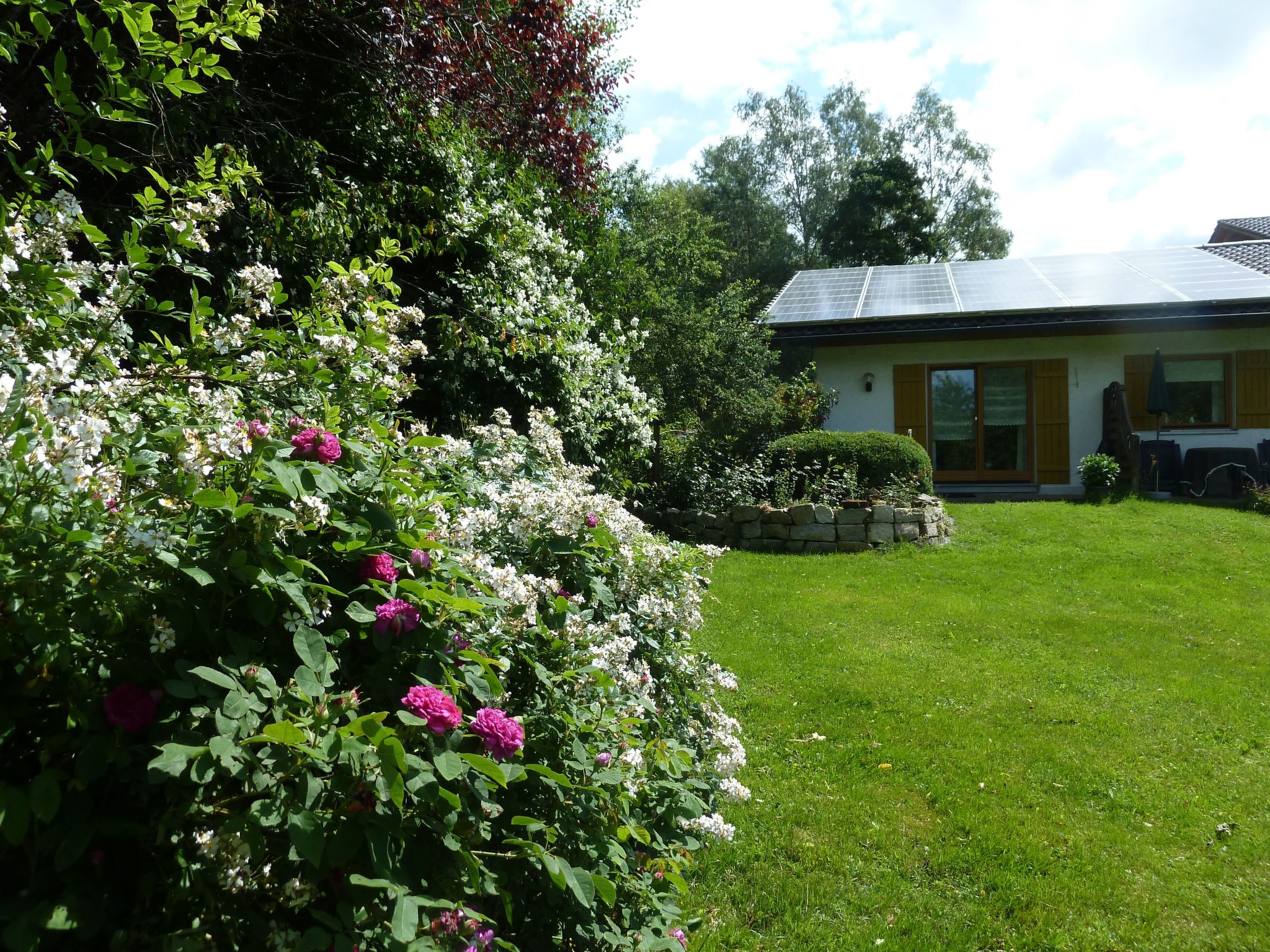 Landhaus Wildfeuer-Dedans