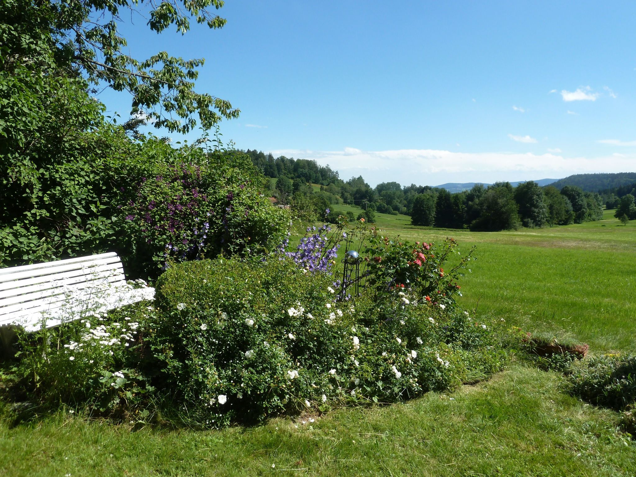 Landhaus Wildfeuer-Dedans
