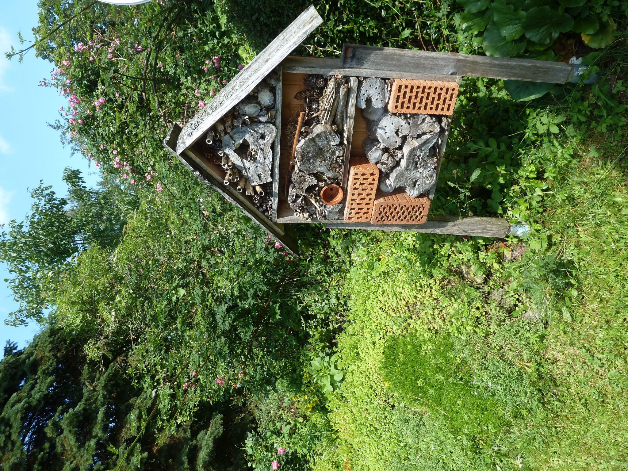 Landhaus Wildfeuer-Dedans