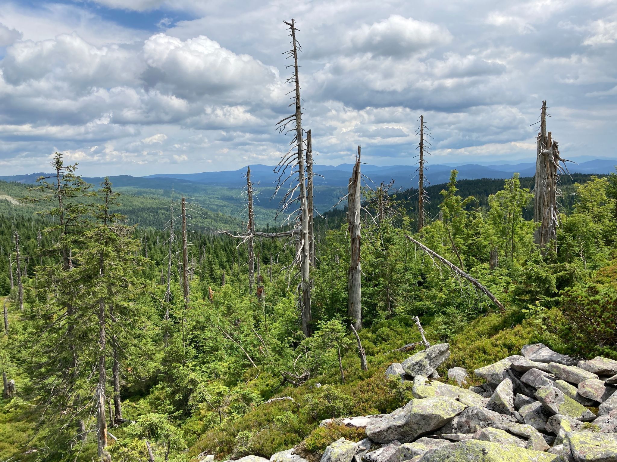 Landhaus Wildfeuer-Dedans