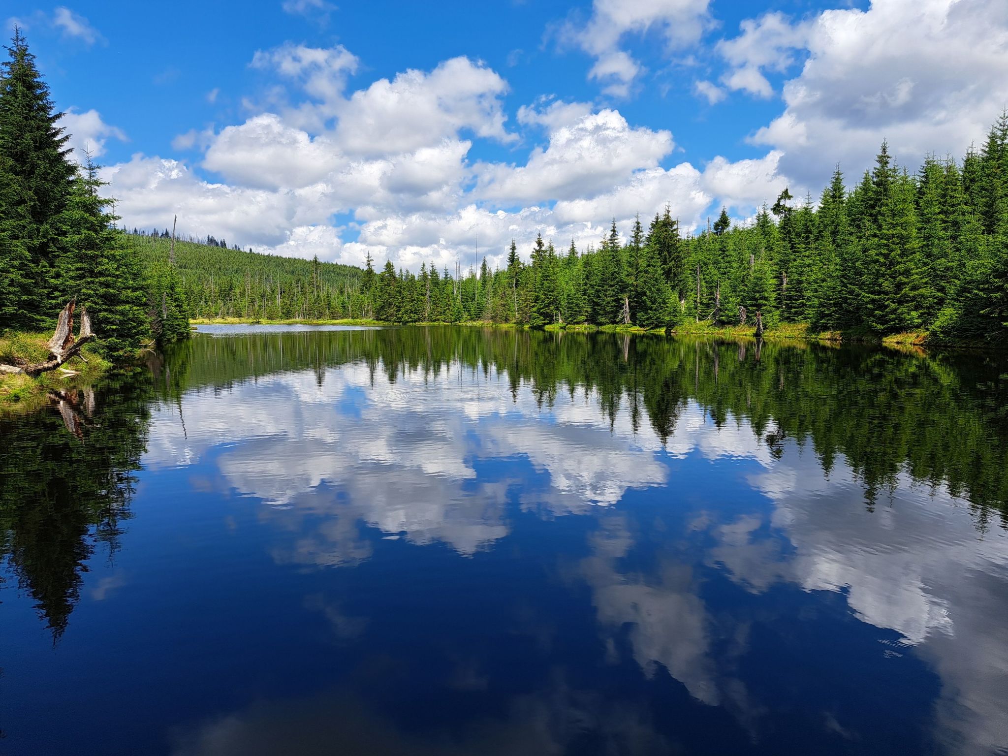 Landhaus Wildfeuer-Dedans