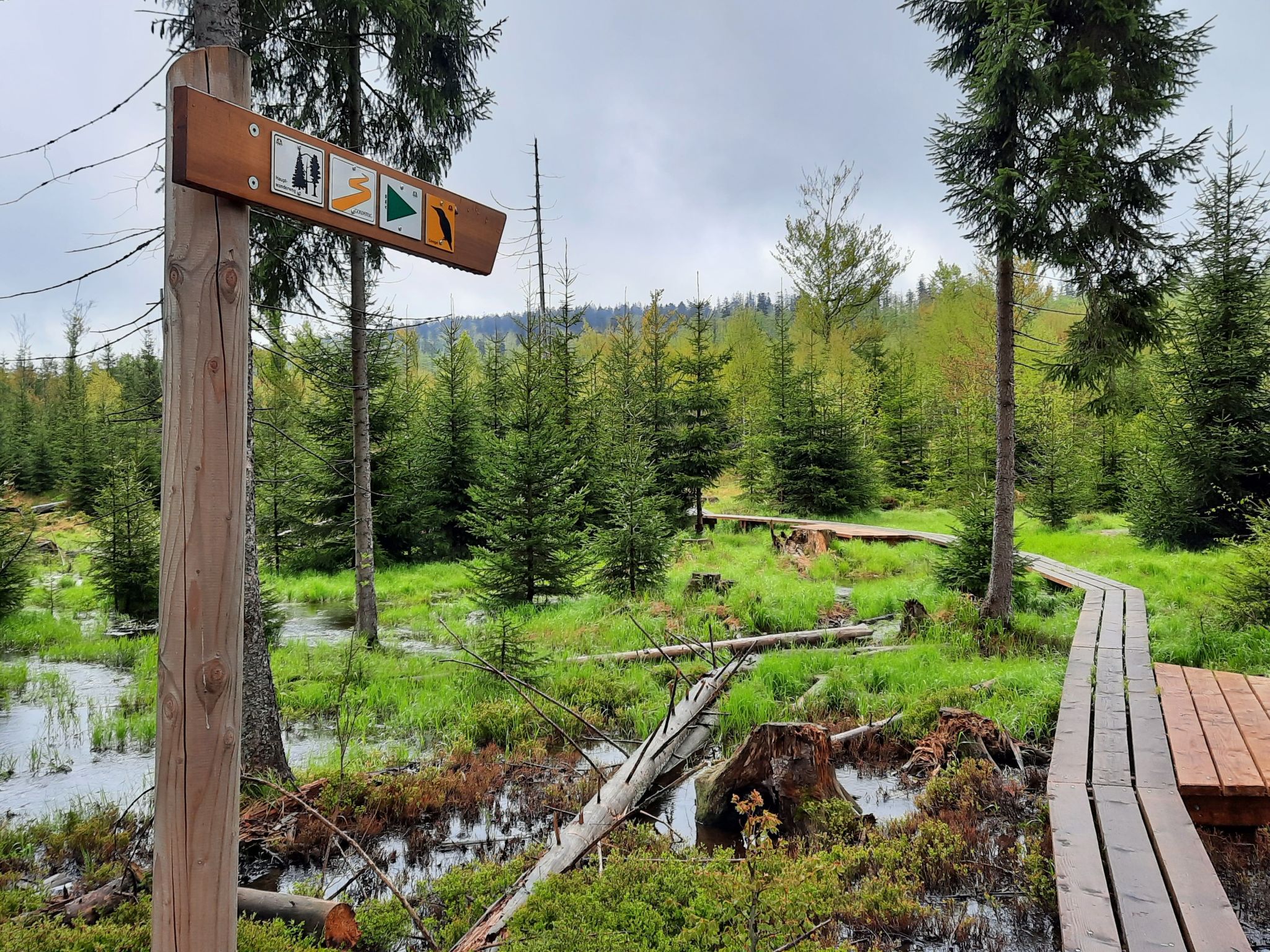 Landhaus Wildfeuer-Dedans