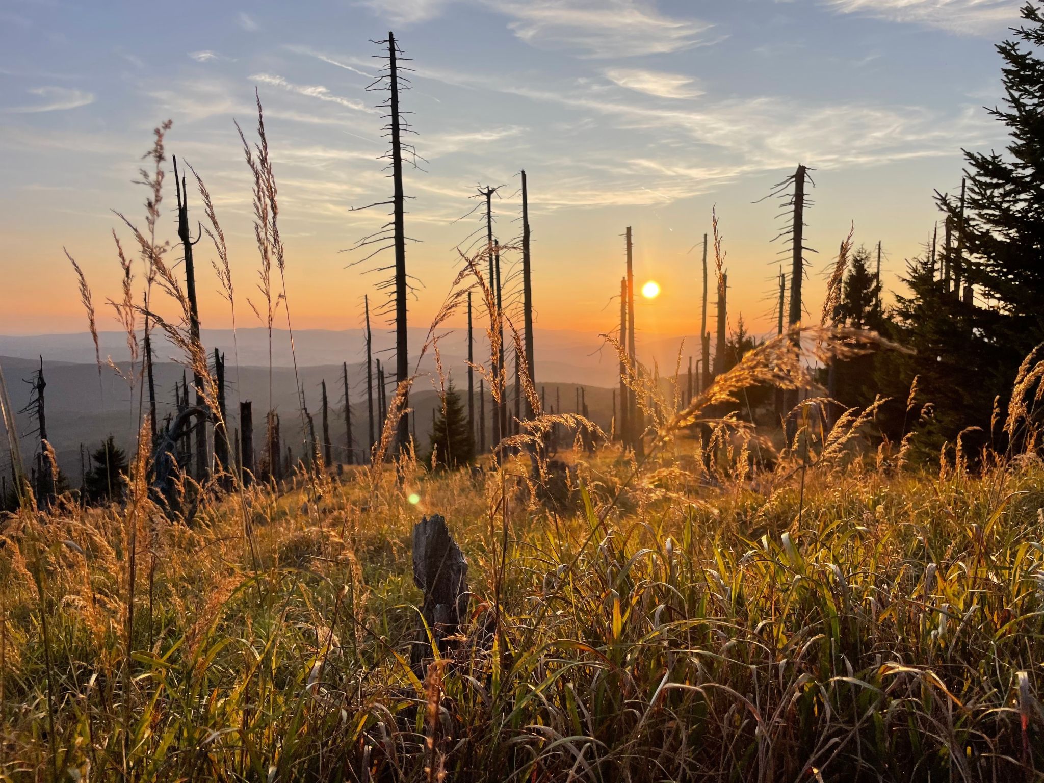 Landhaus Wildfeuer-Dedans