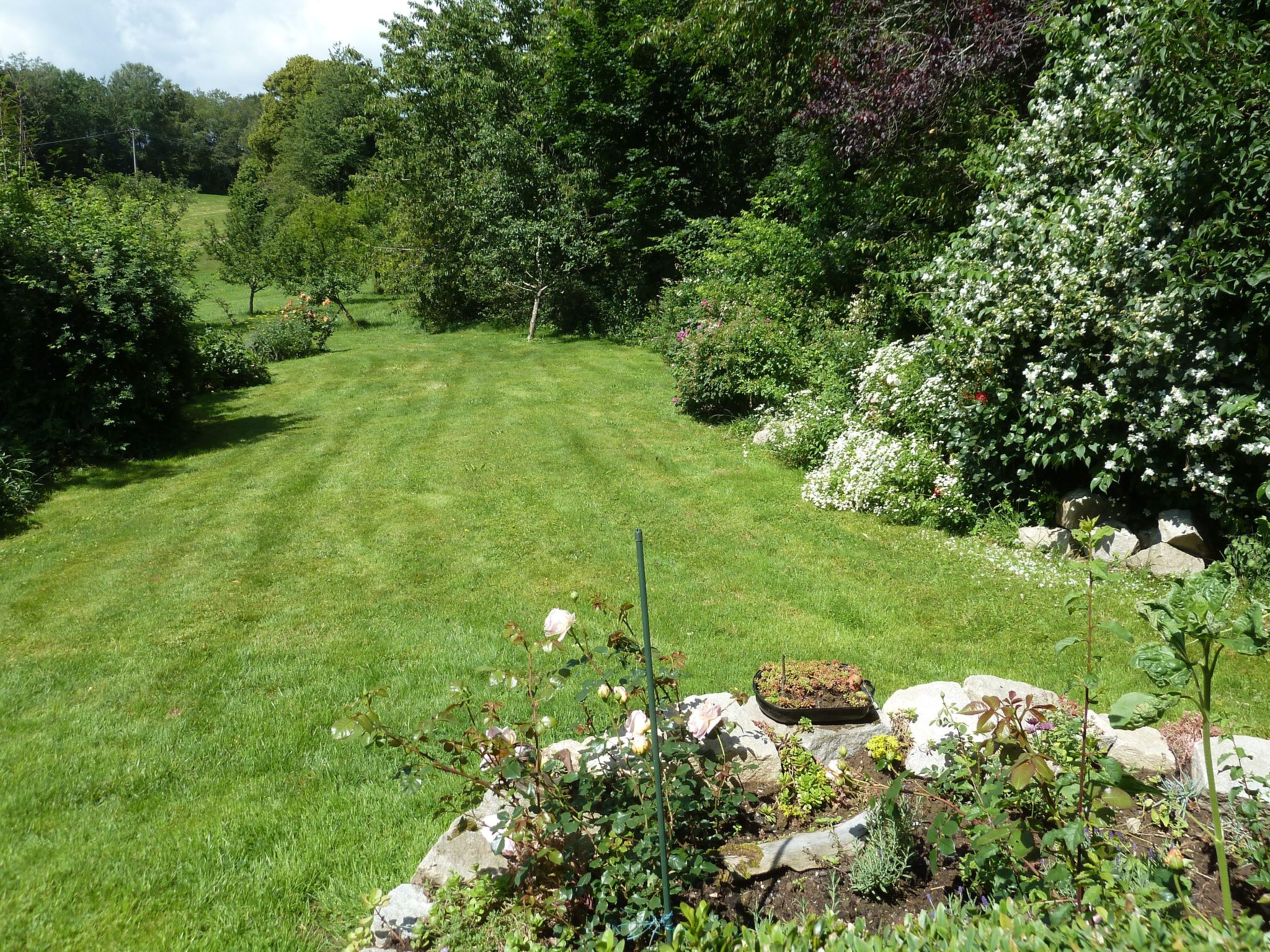 Landhaus Wildfeuer-Inside