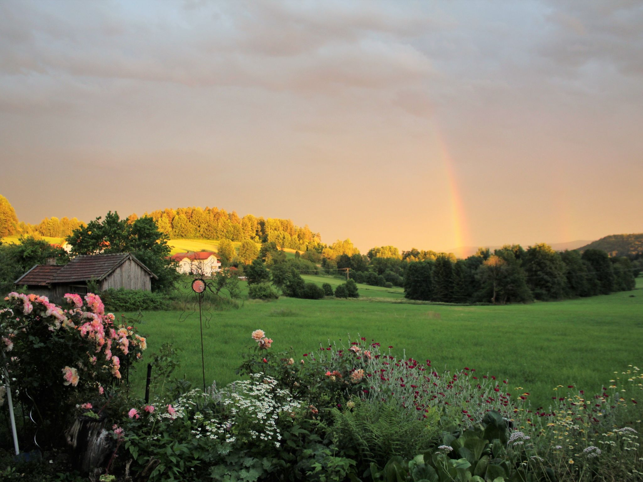 Landhaus Wildfeuer-Inside