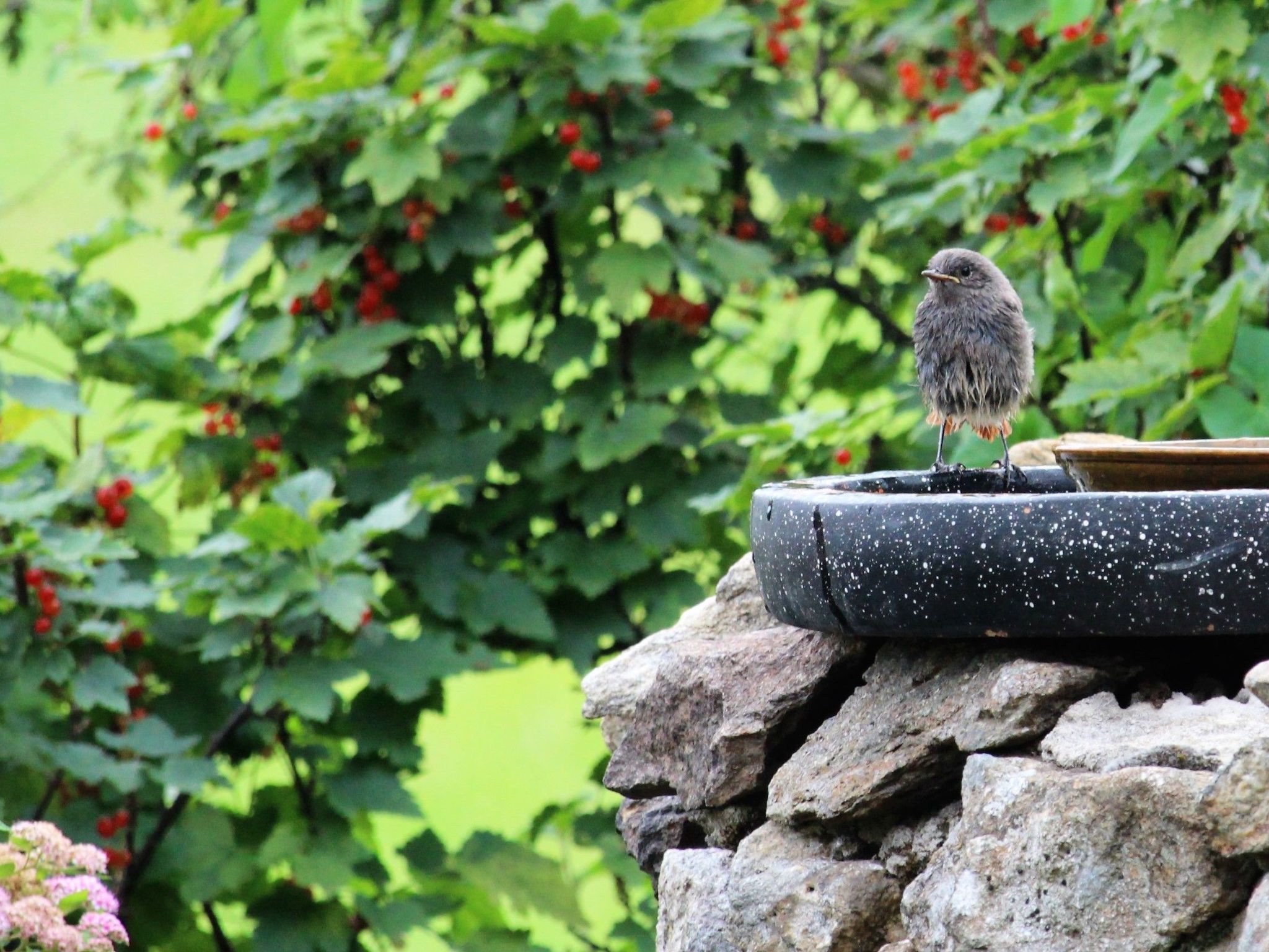 Landhaus Wildfeuer-Inside