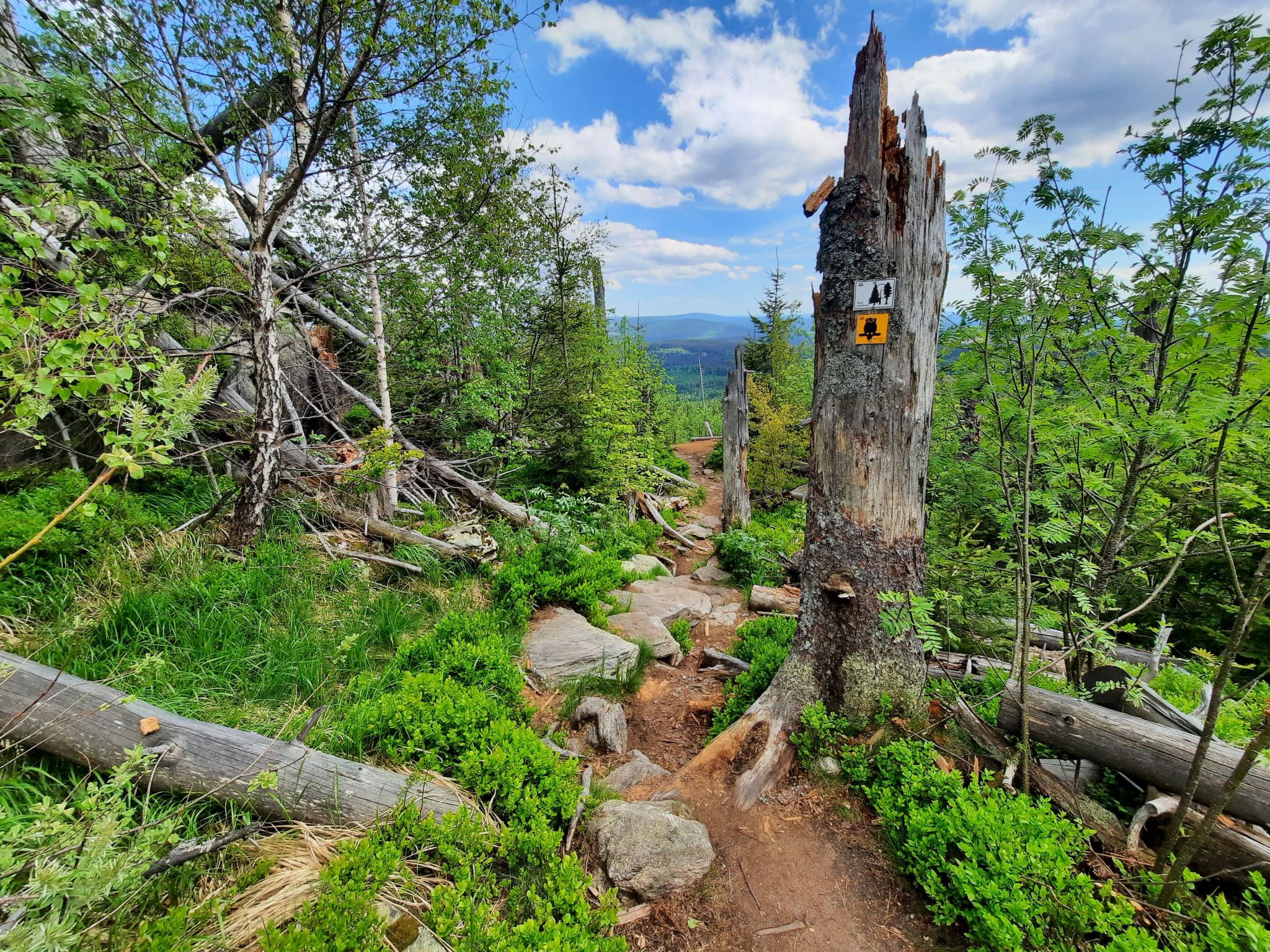 Landhaus Wildfeuer-Inside
