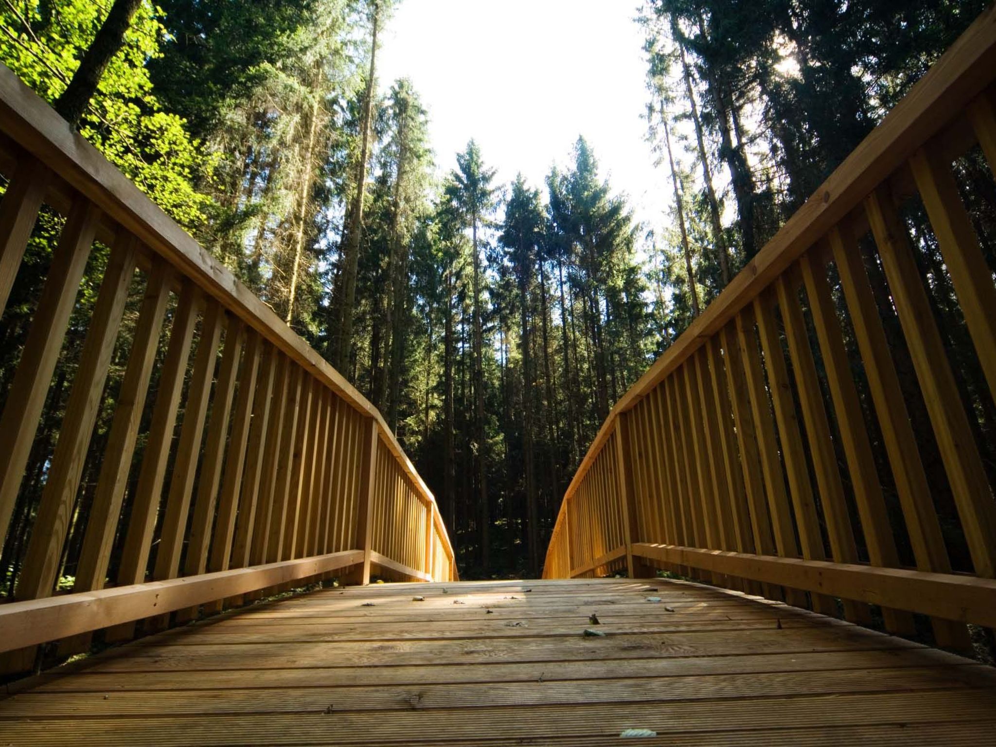 Exklusive Ferienwohnung mit eigener Sauna-Drinnen