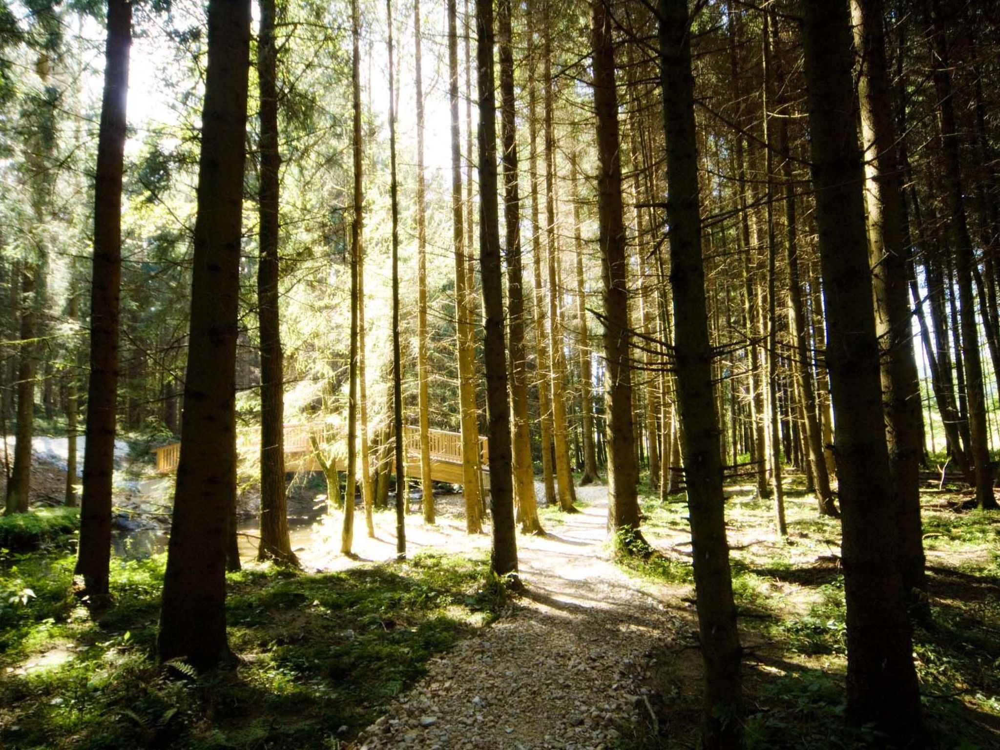 Exklusive Ferienwohnung mit eigener Sauna-Drinnen