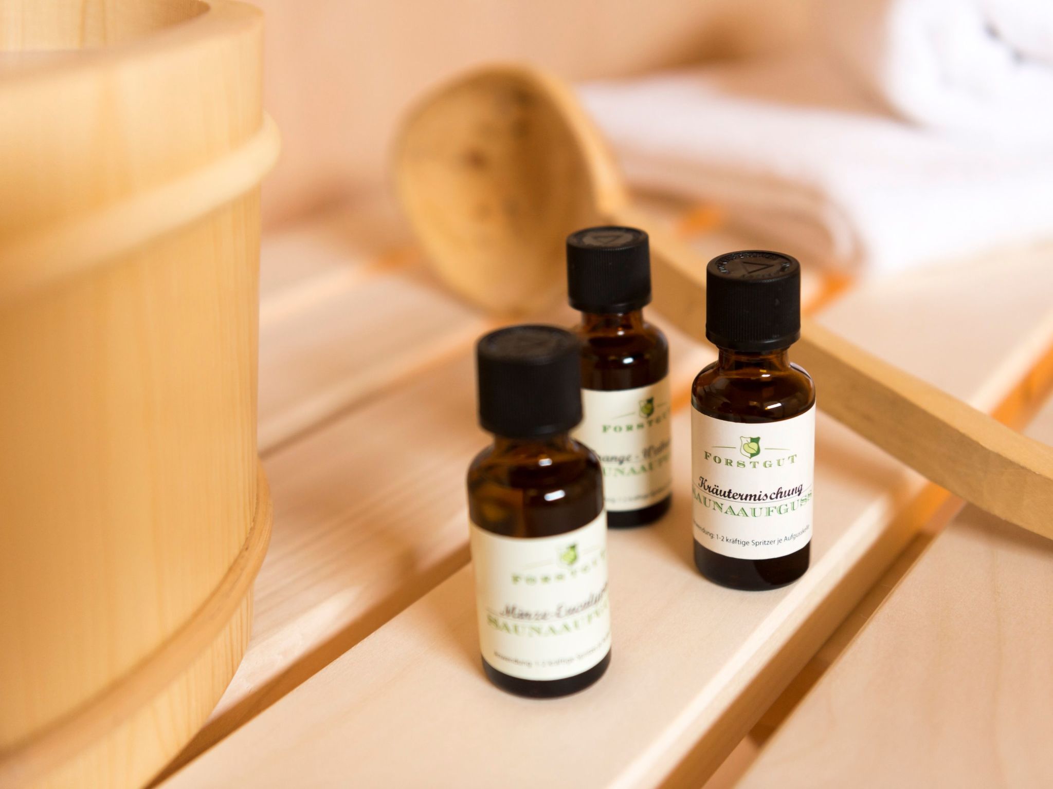 Luxuschalet Jagahaus-Drinnen