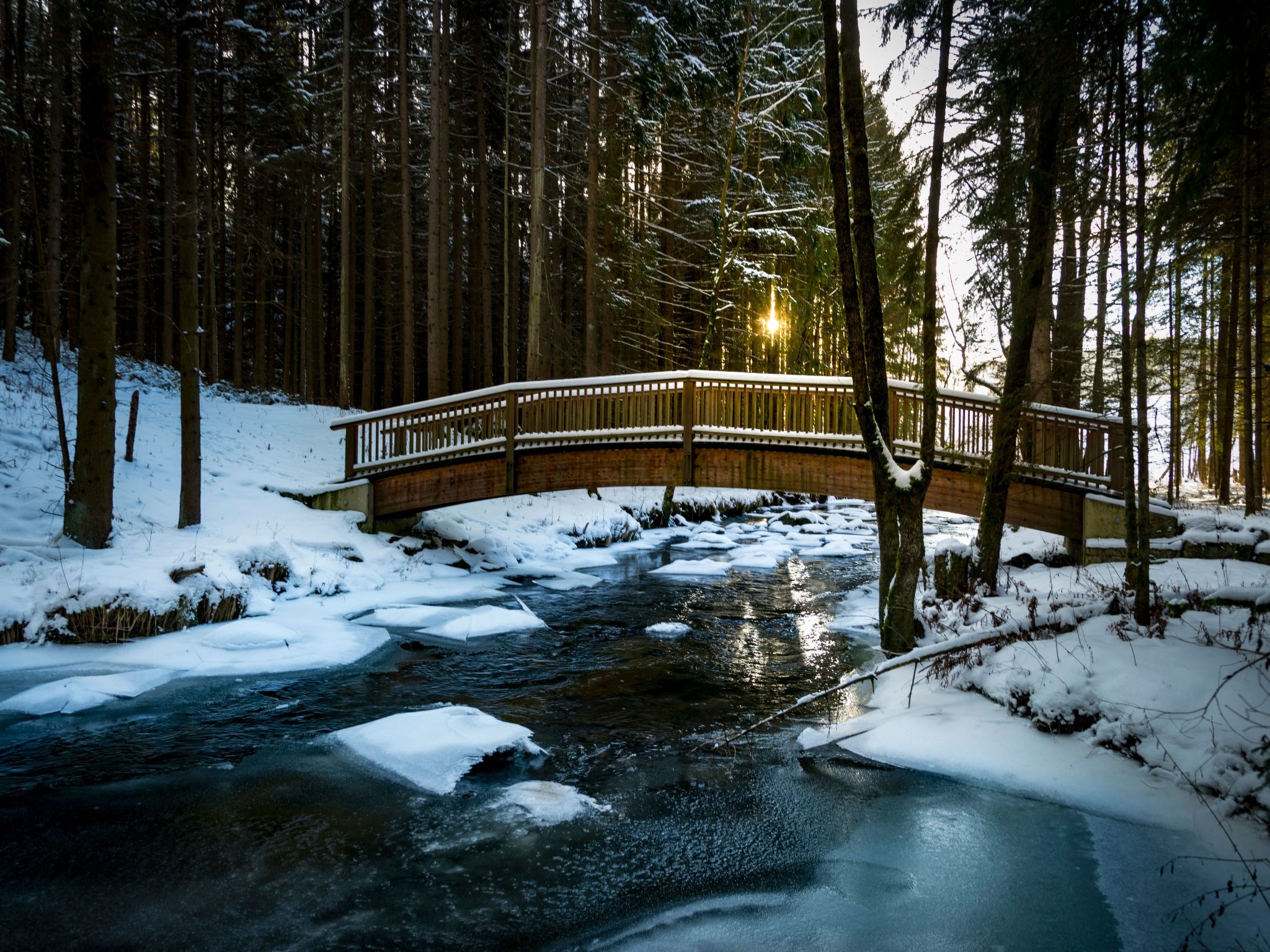 EXKLUSIVE FERIENWOHNUNG MIT EIGENER SAUNA-Binnen