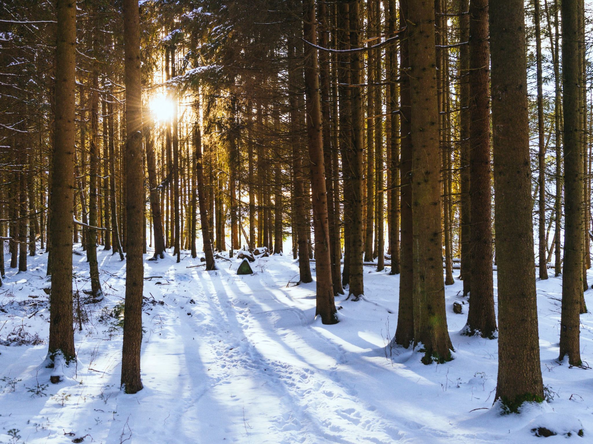 EXCLUSIVE FERIENWOHNUNG MIT EIGENER SAUNA-Binnen
