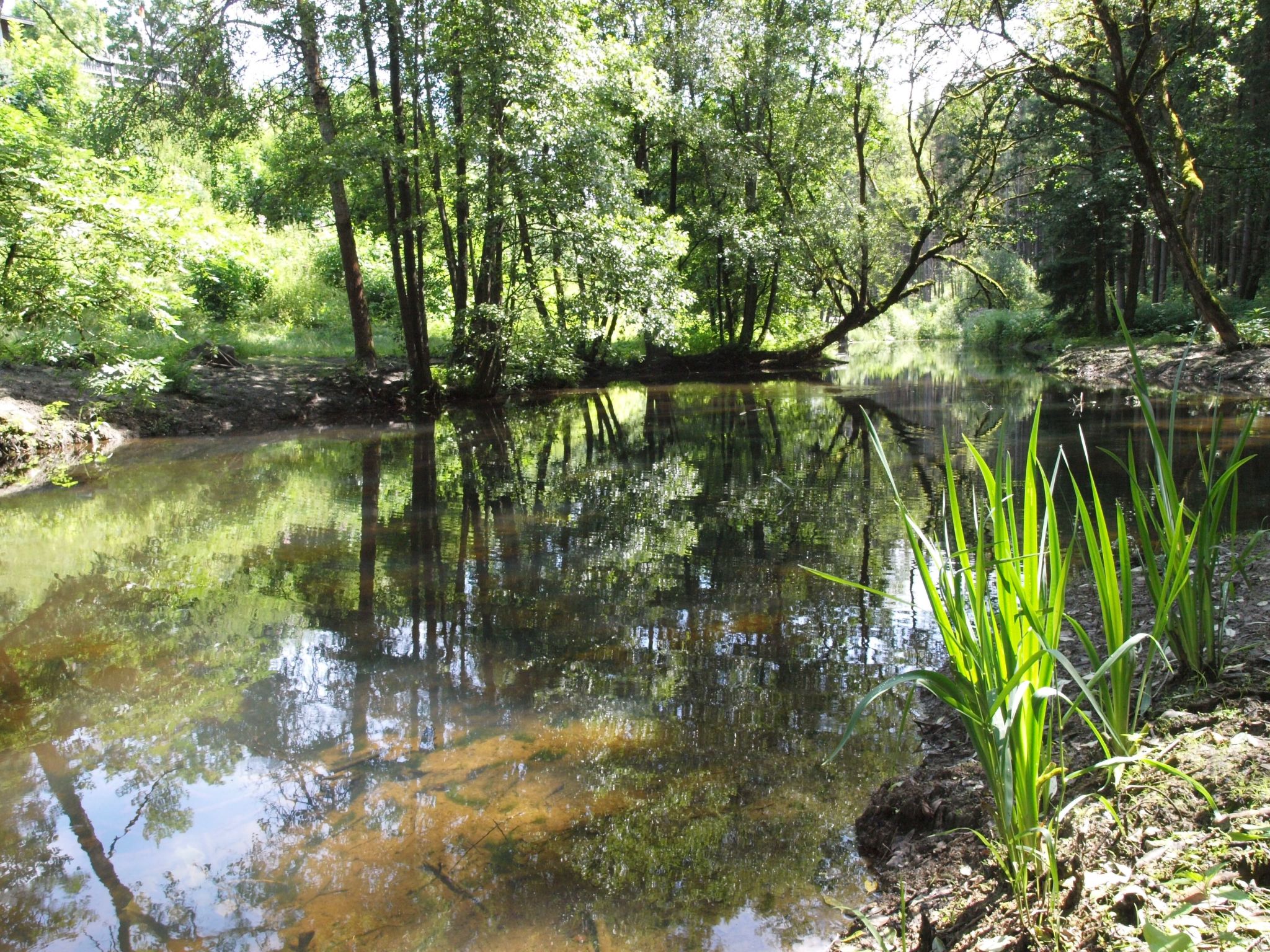 EXCLUSIVE FERIENWOHNUNG MIT EIGENER SAUNA-Binnen