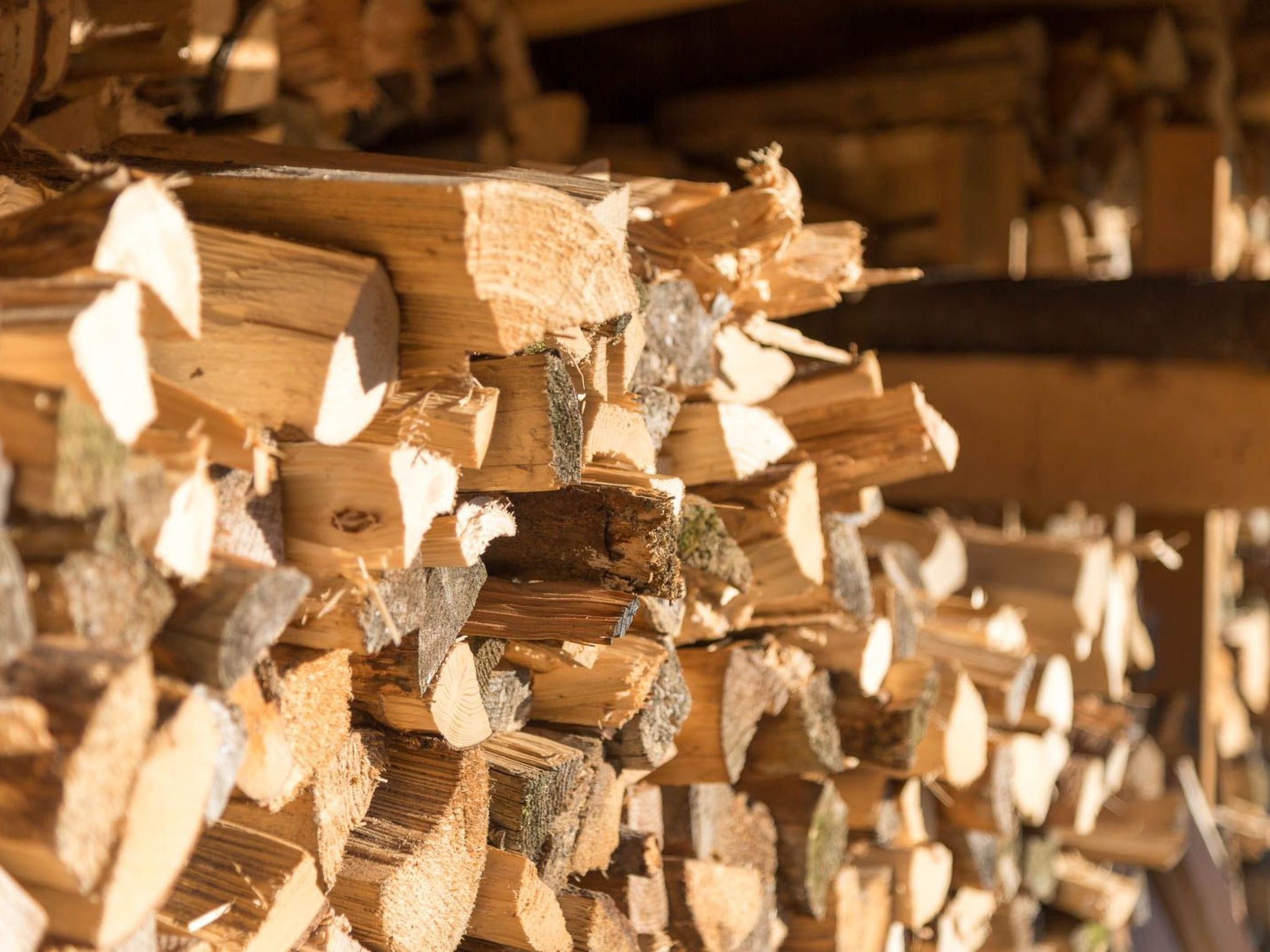 FORSTGUT - Raum für wertvolle Zeit-Binnen