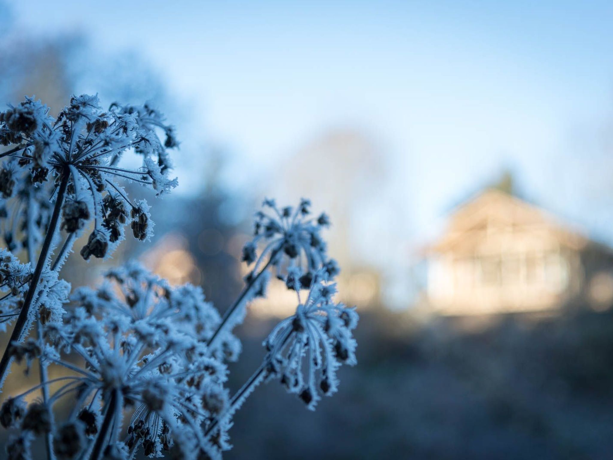 FORSTGUT - Raum für wertvolle Zeit-Binnen