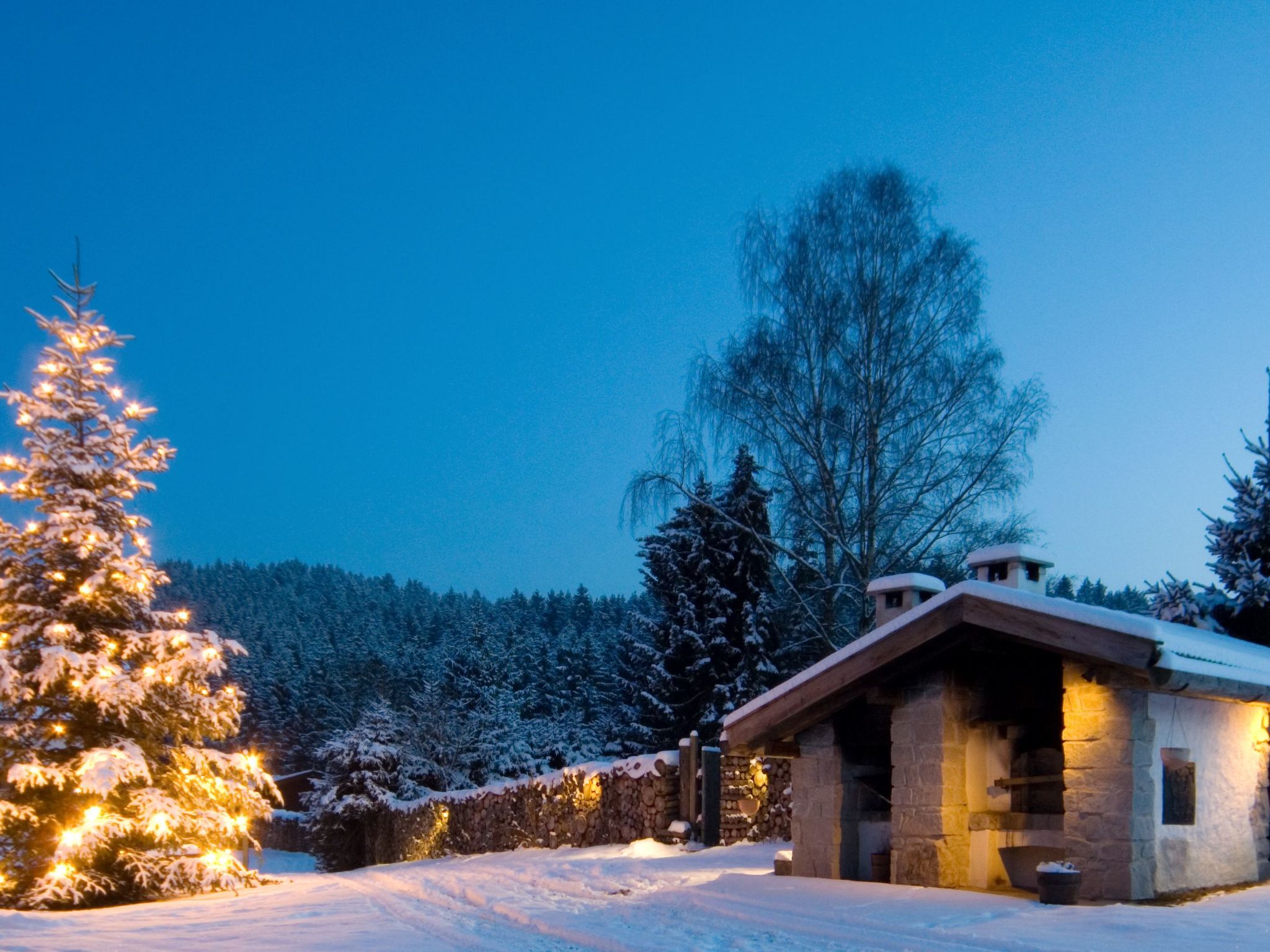 FORSTGUT - Raum für wertvolle Zeit-Binnen
