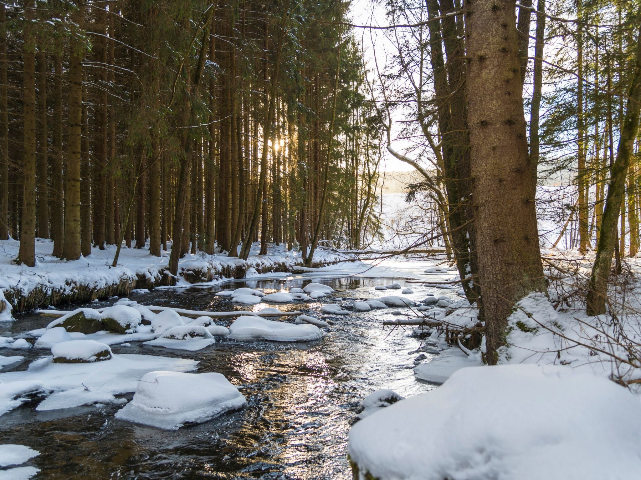Chalet Försterei-Drinnen