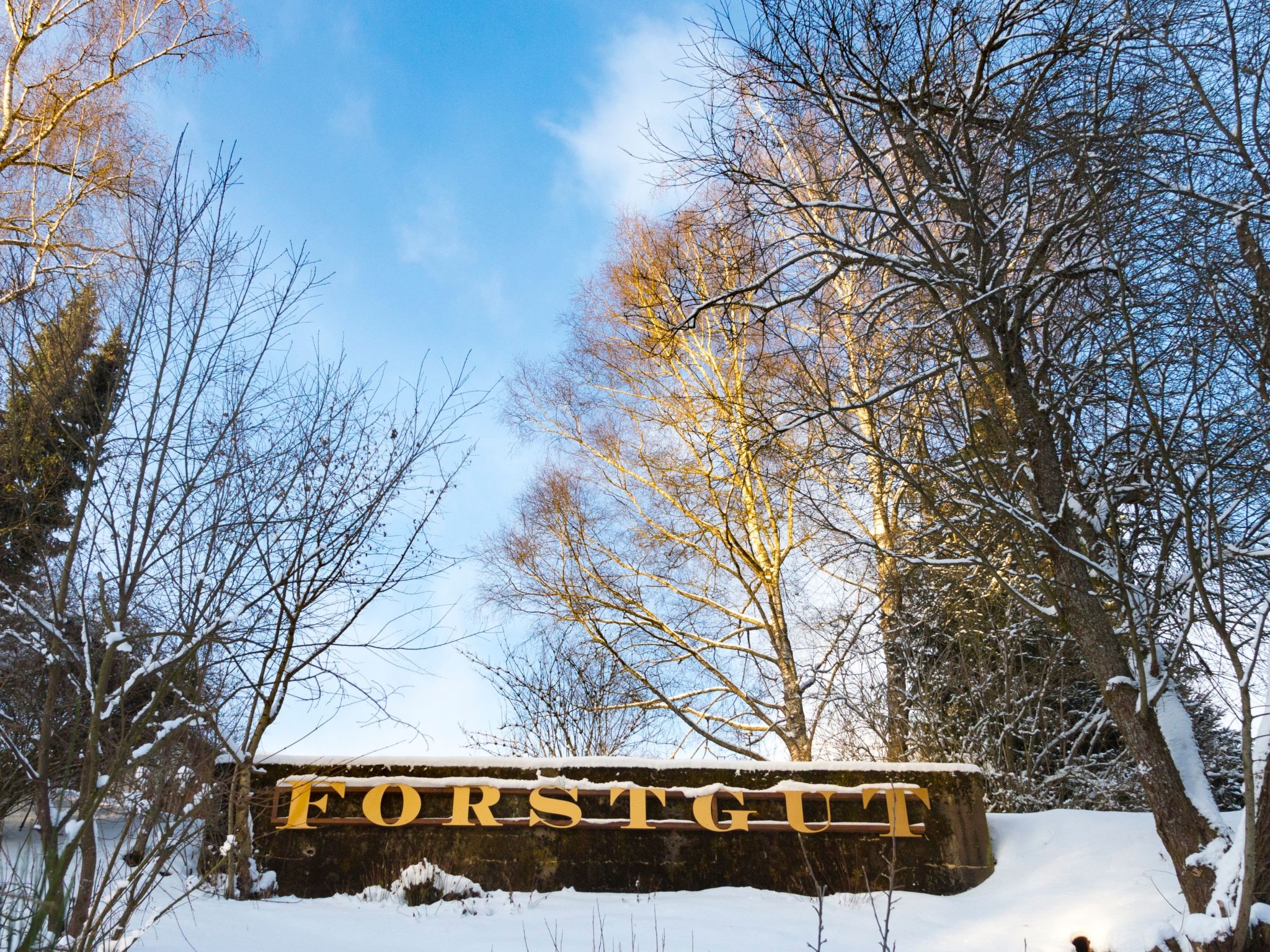 Chalet Försterei-Drinnen