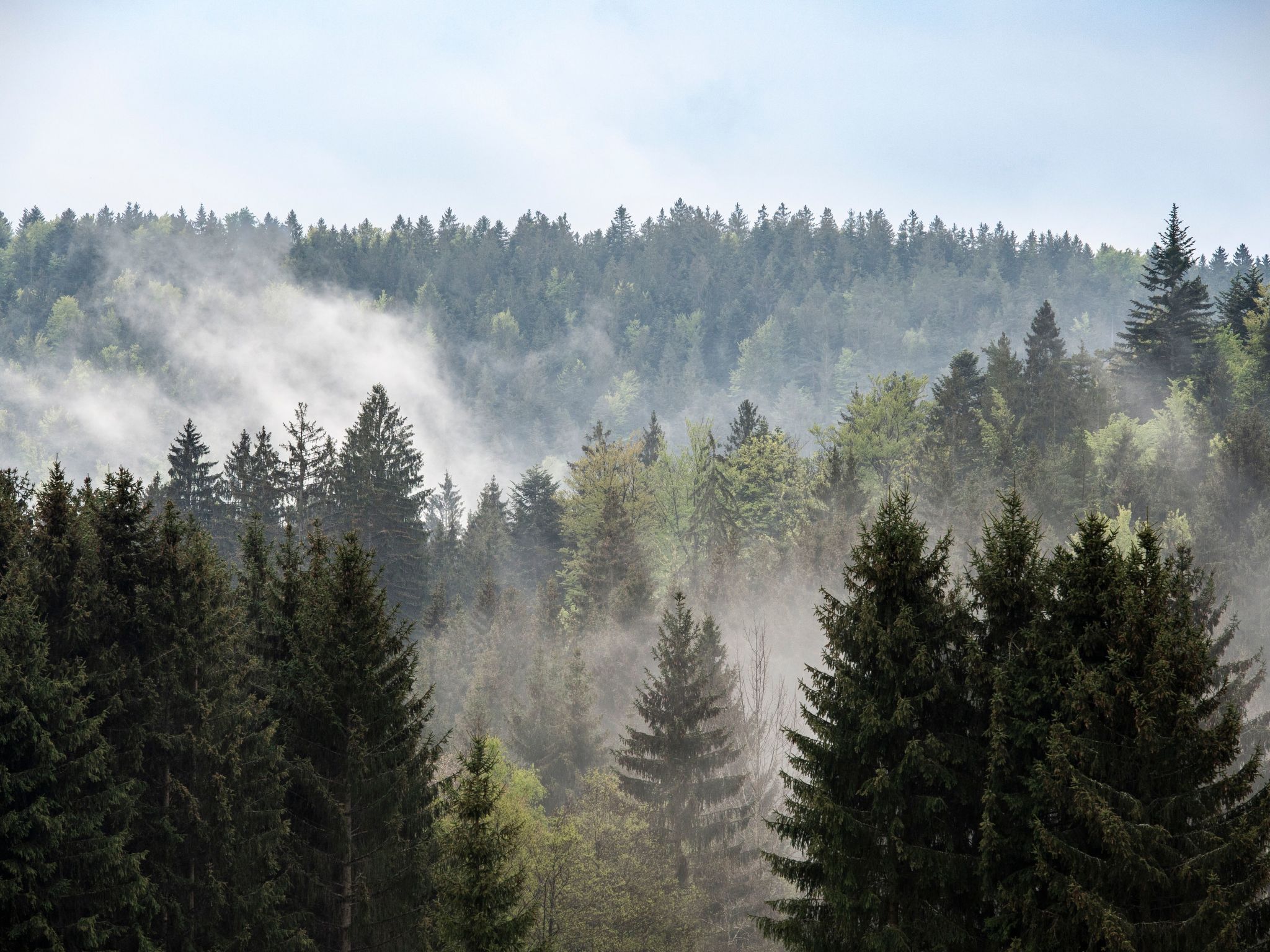 Exklusive Ferienwohnung mit eigener Sauna-Binnen